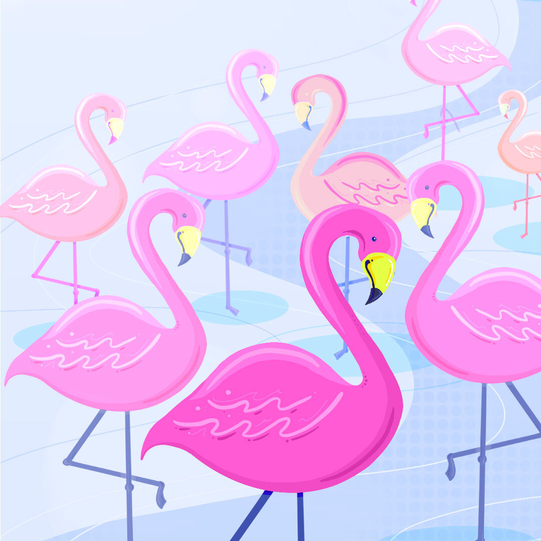 2020-Swishboom-Social-Flock.jpg