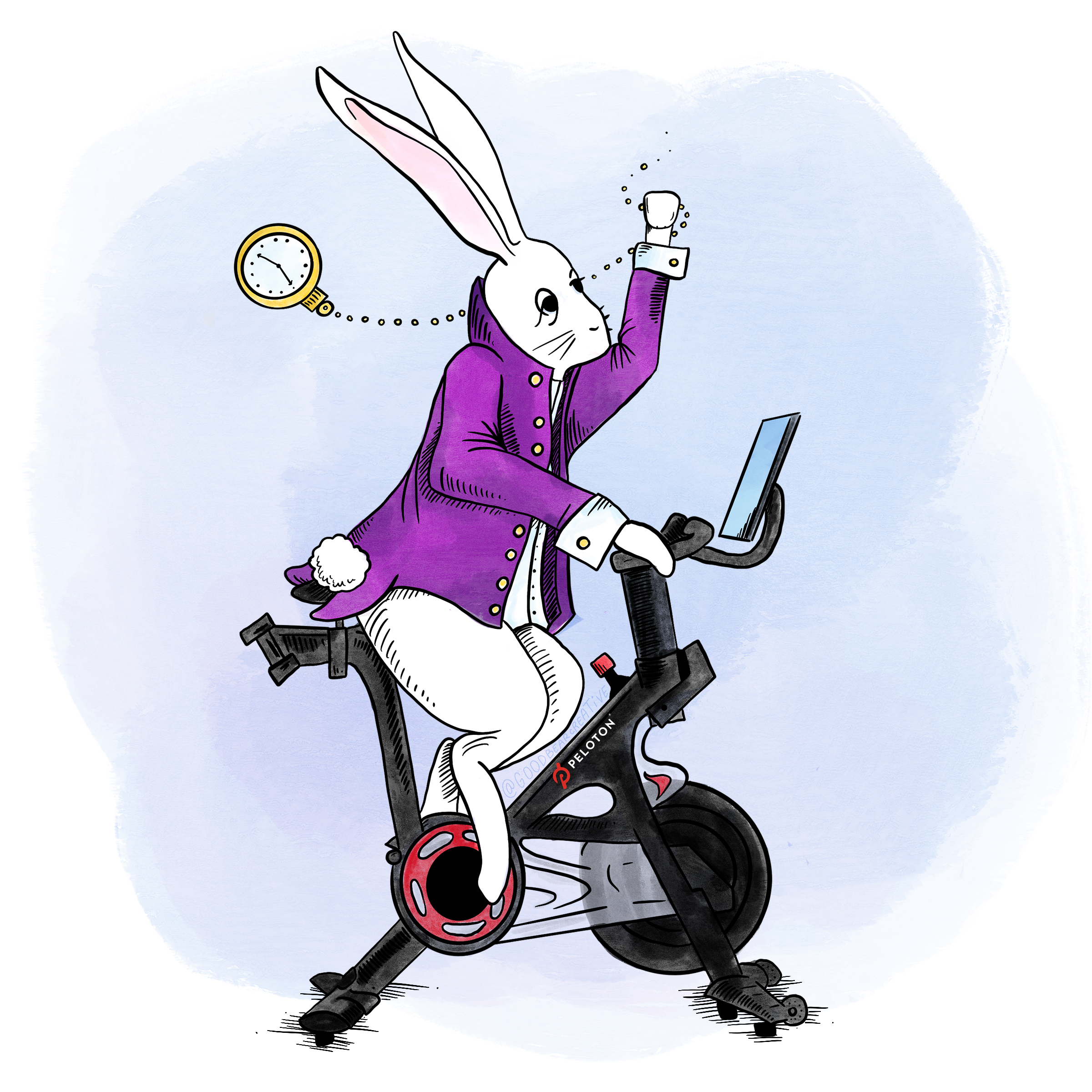 fit-rabbit-square.png