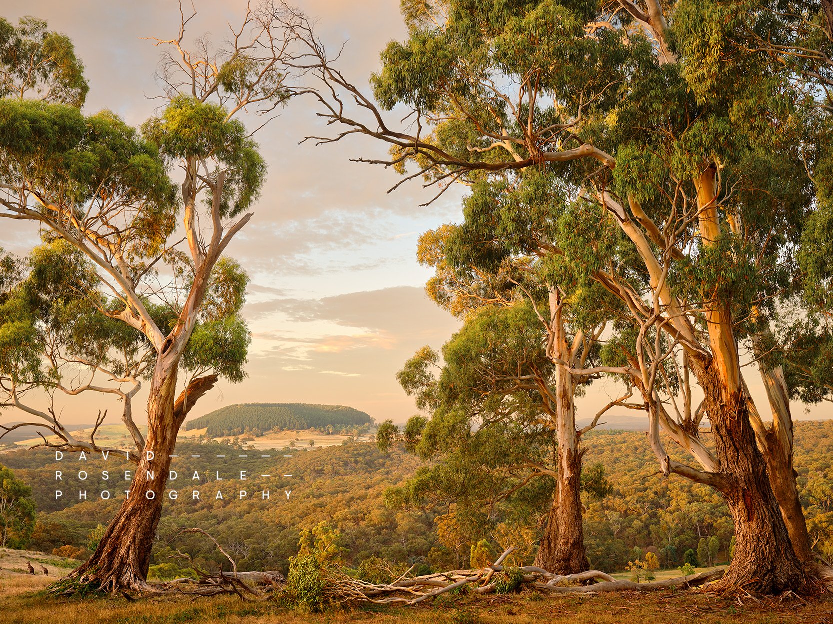Ulysses' Gaze View to Lalgambuk Mt Franklin.jpg