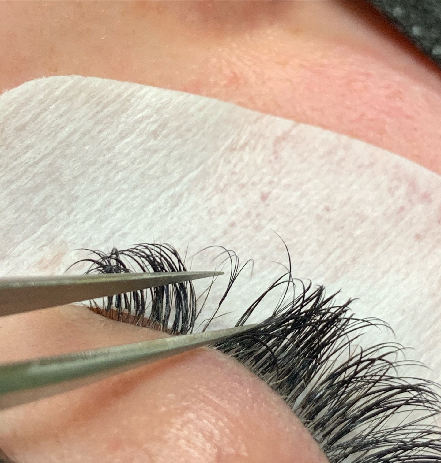 This happy lash extension is ready to be peeled off the natural lash! This fan is squeaky clean and out grown meaning the client has been washing and brushing properly. During your 2-3 week fills, this is where I would go in to peel off any outgrown 