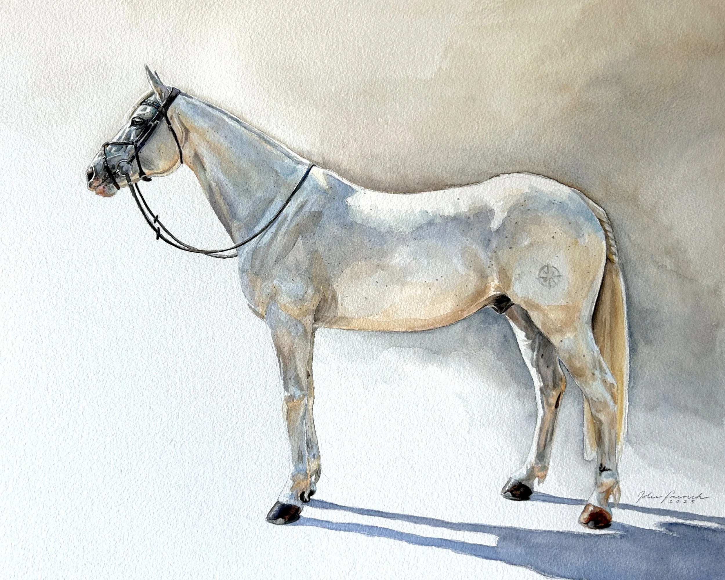 Cloudy de Lune SE