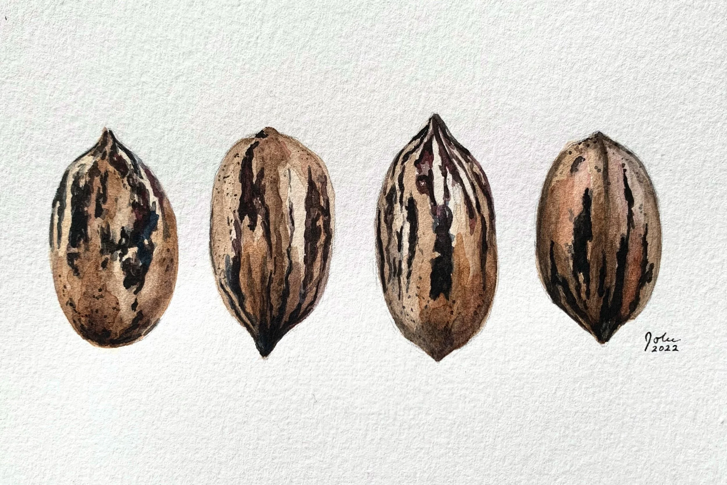 Pecans