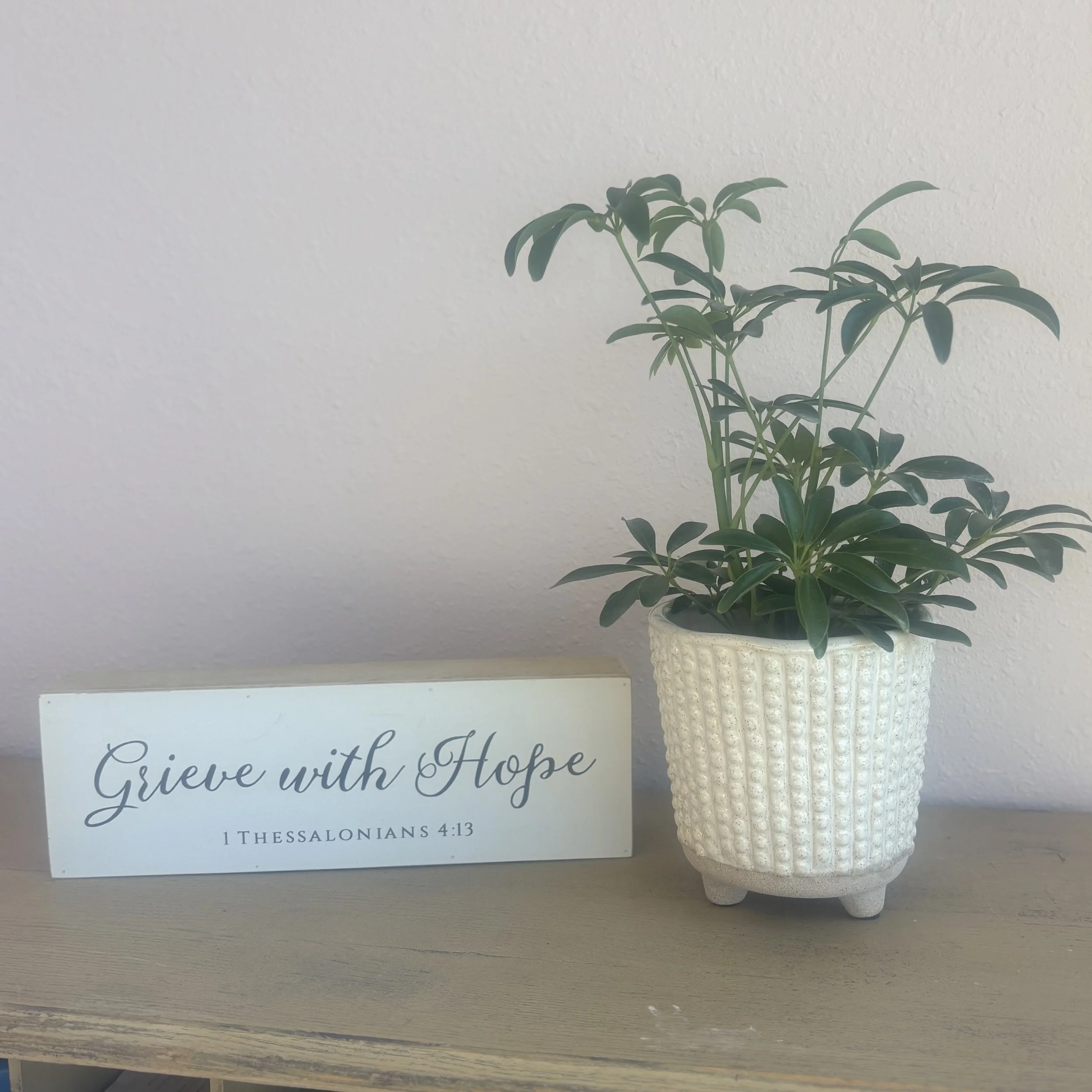 “Grieve with Hope” Wooden Sign with Small Plant