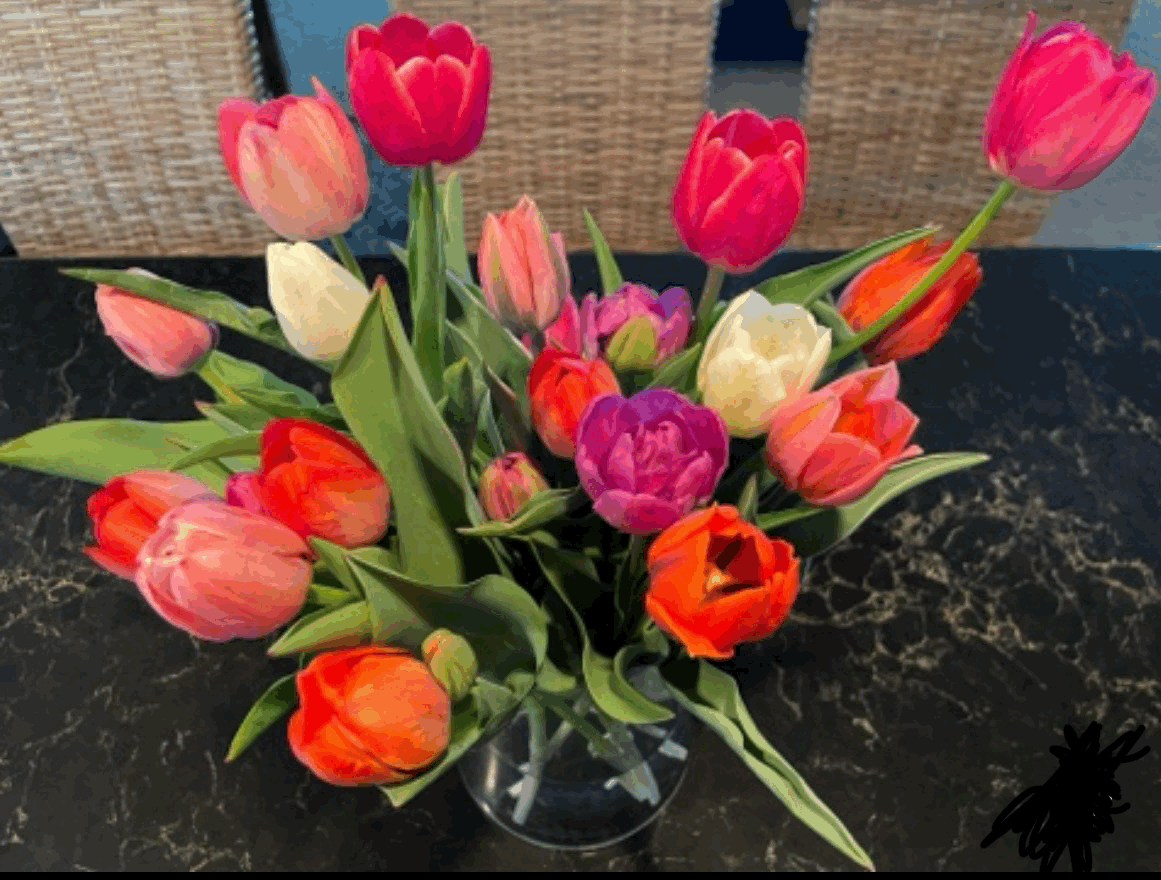 Simply Tulips