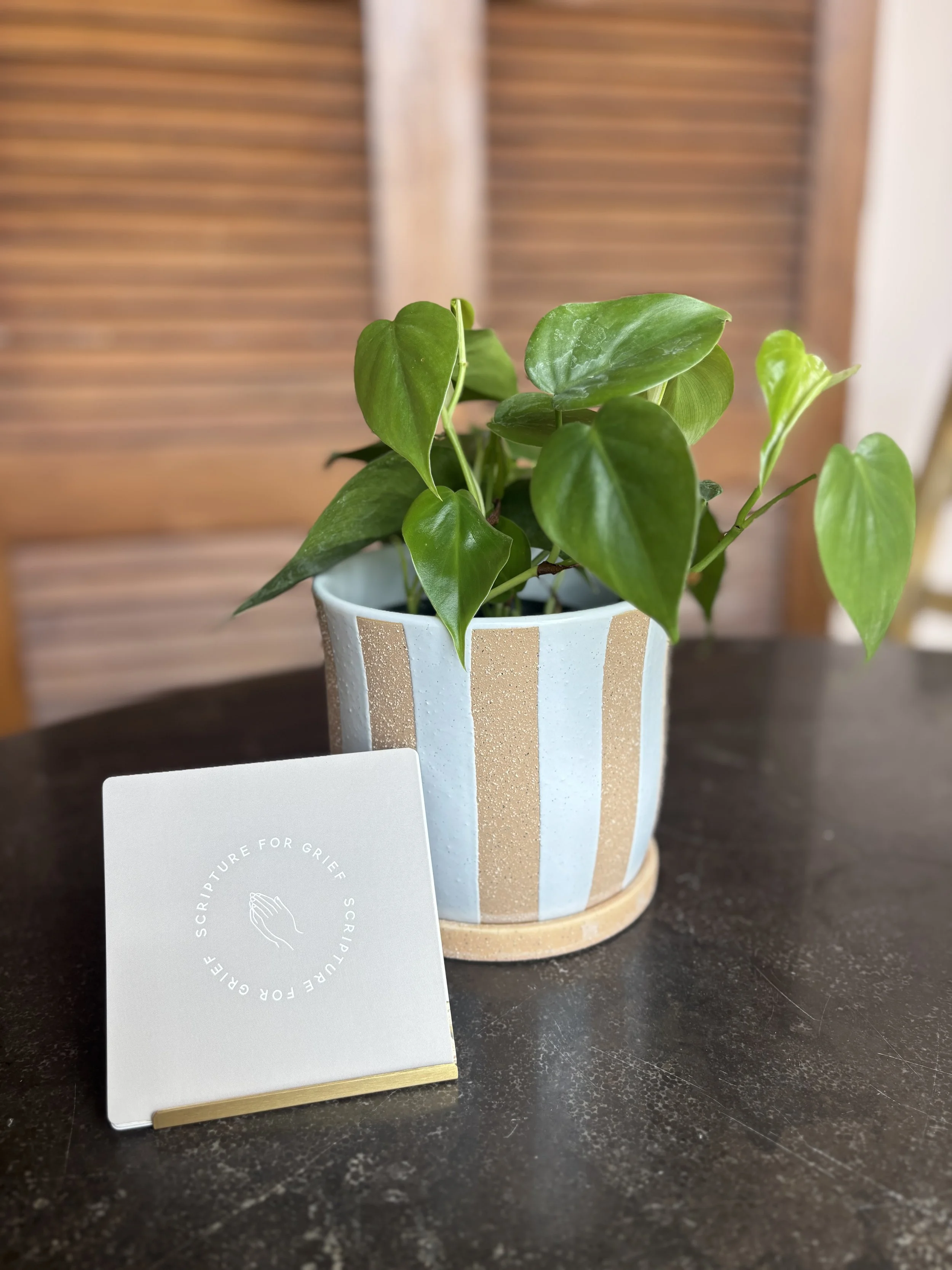 grief cards and plant.jpg