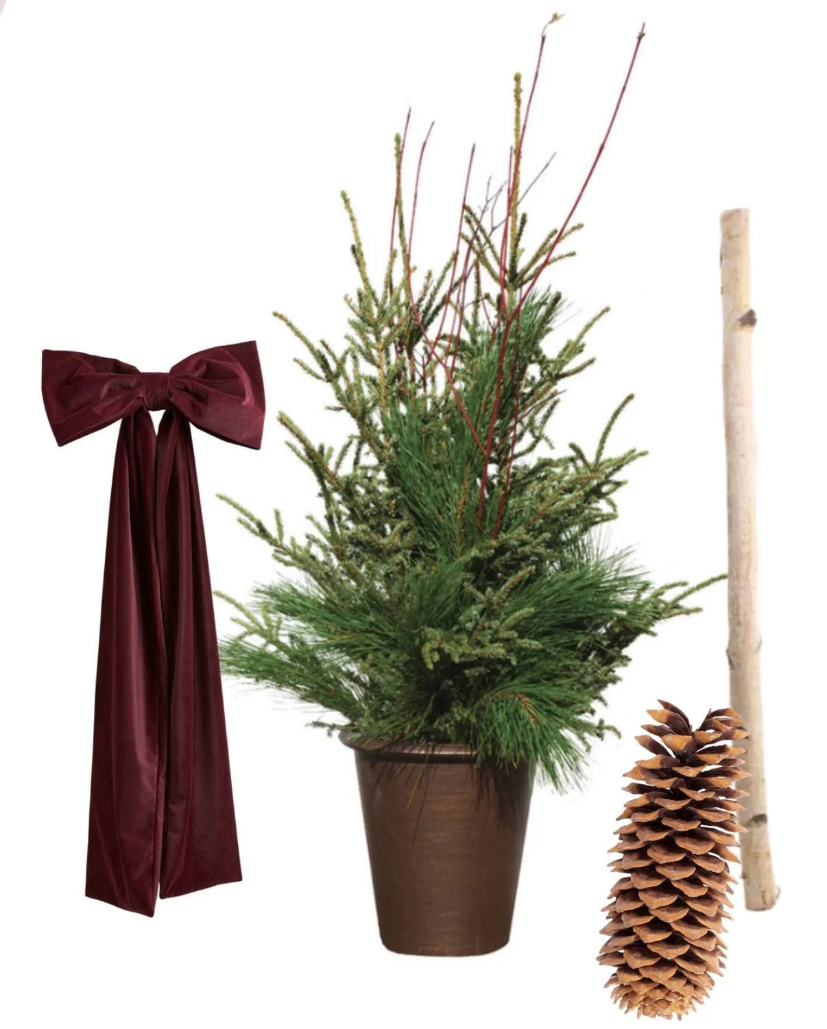 Embellished Spruce Top Planter