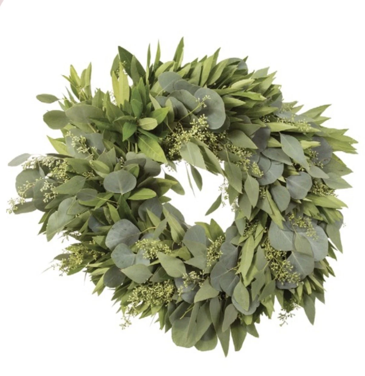 Bay Leaf and Eucalyptus Specialty Wreath