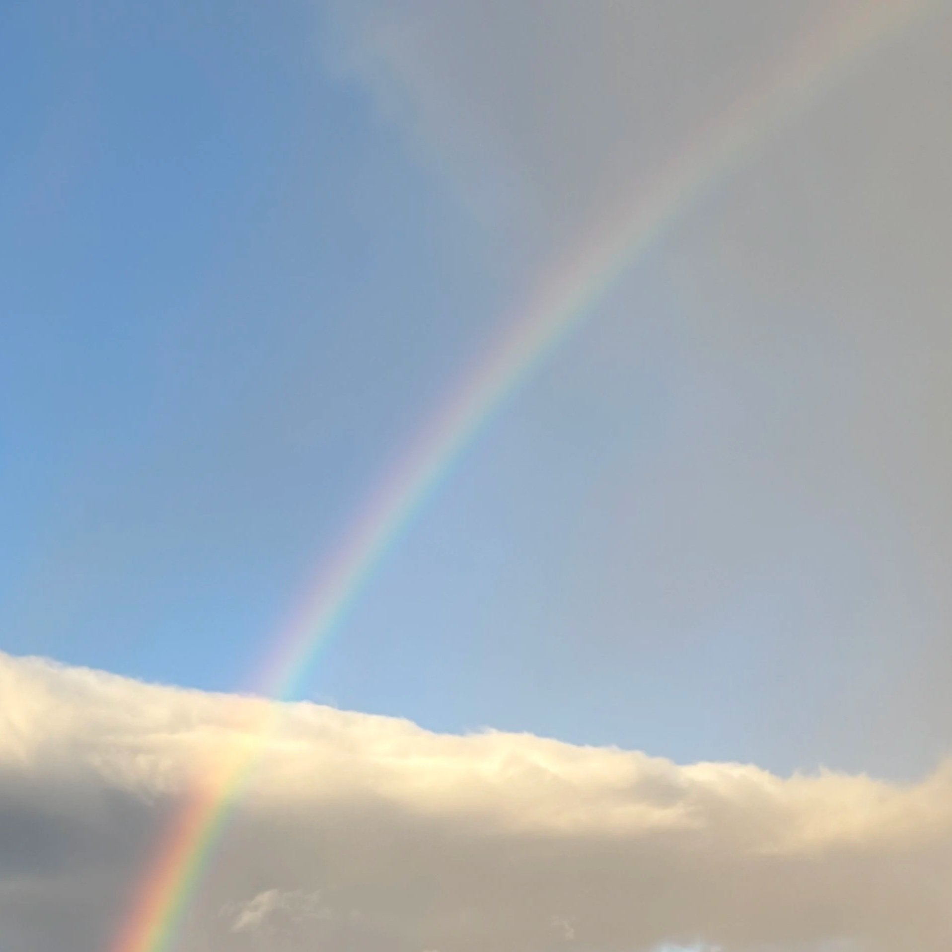 Save the Date: Online Writing Program 