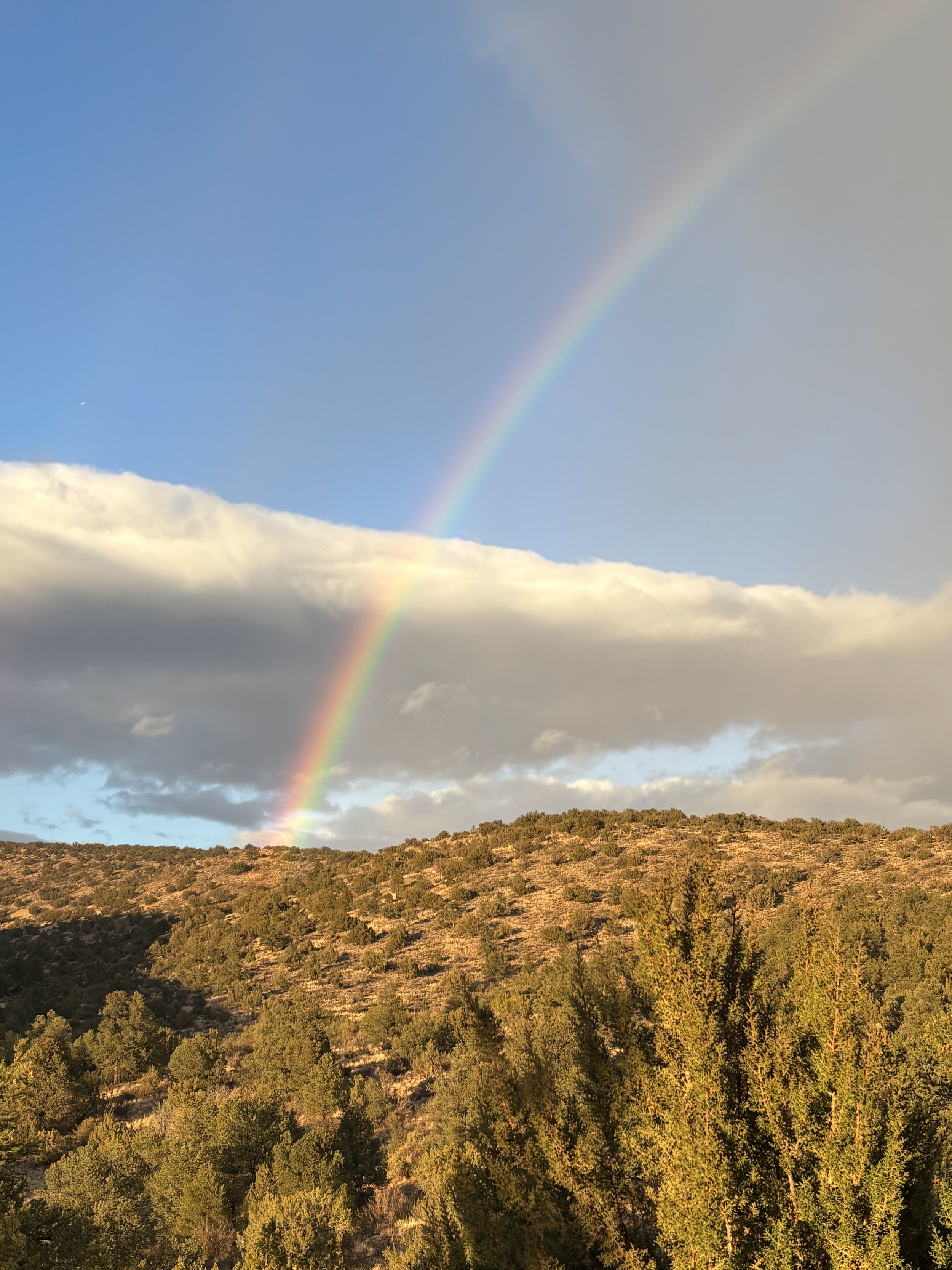 rainbow-triveni.jpg