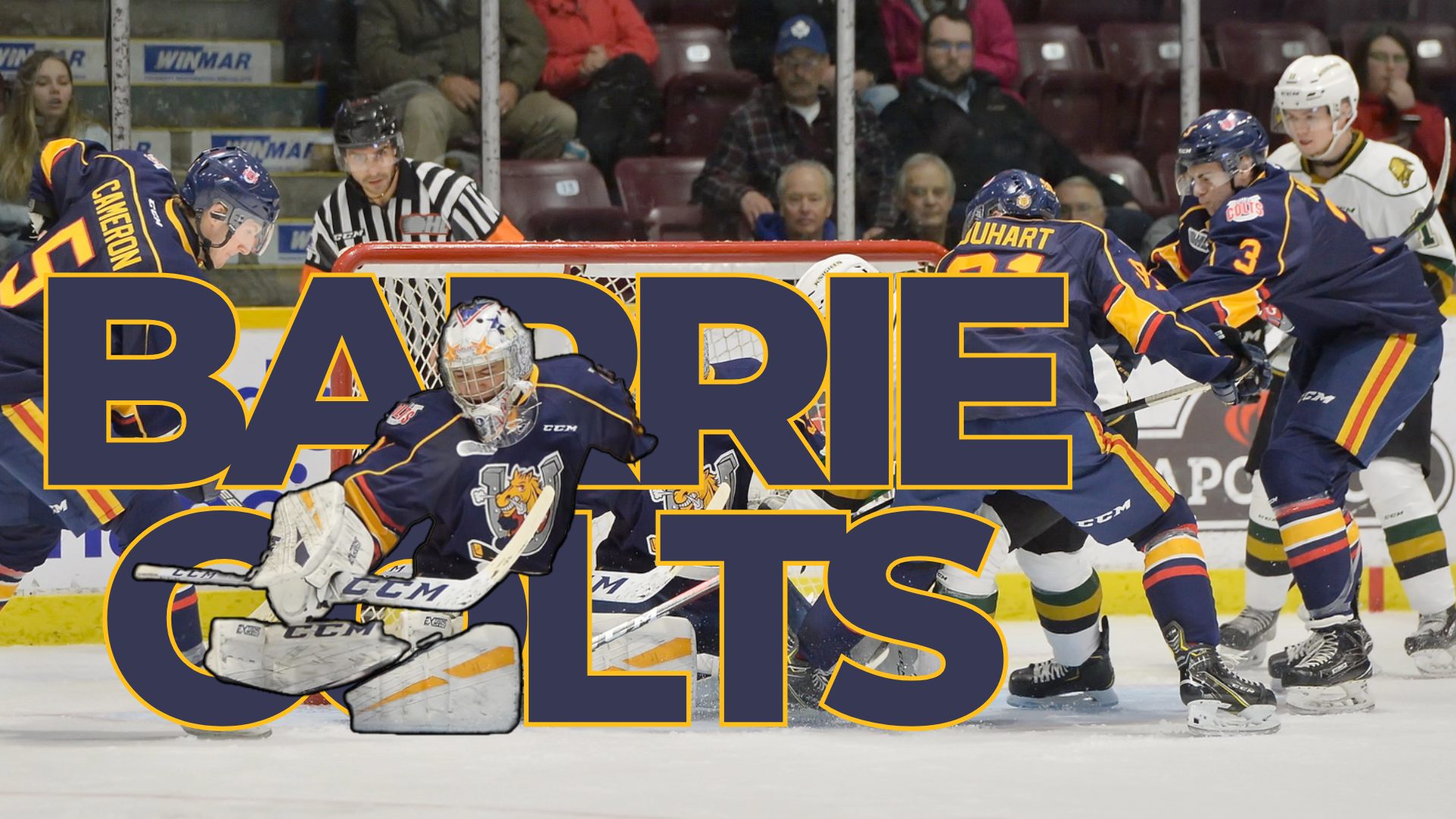 Root Family Night: Barrie Colts VS. Owen Sound Attack