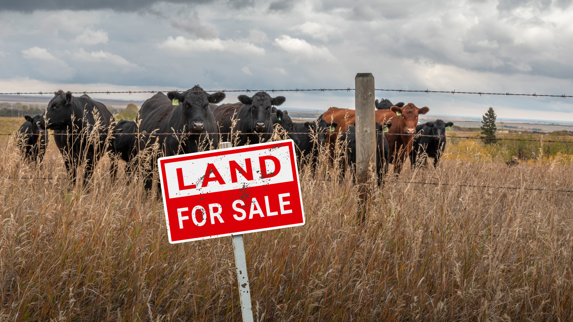 How Citizens Can Push Back Against Extractive Projects&nbsp;