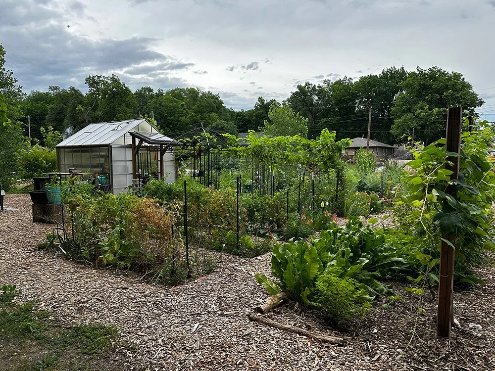 sandras garden.jpg