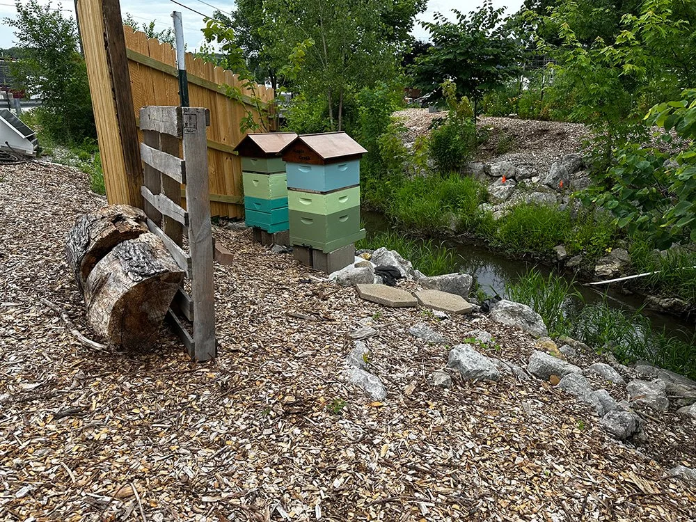 beehives.jpg