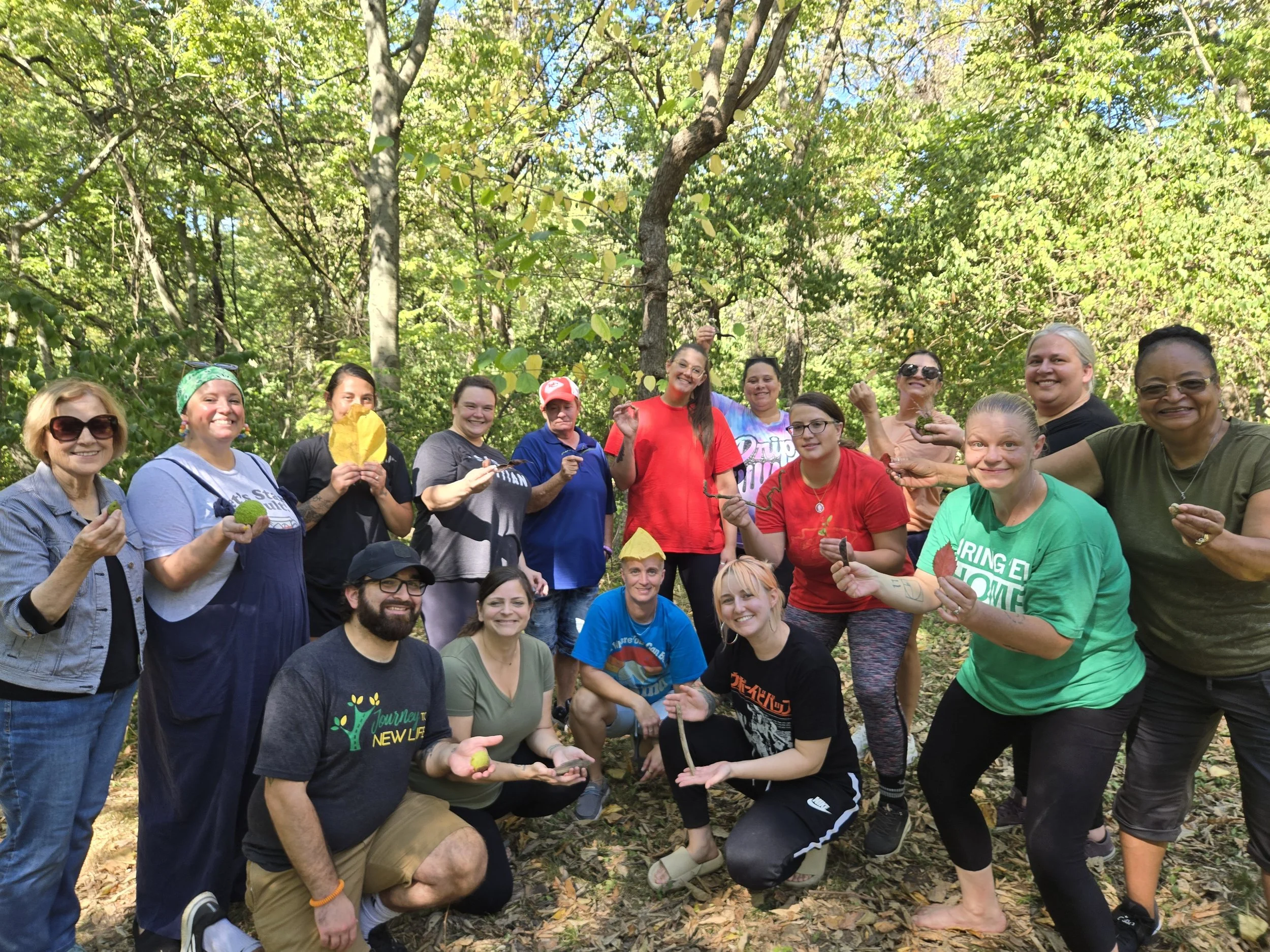journey to new life forest bathing.jpg