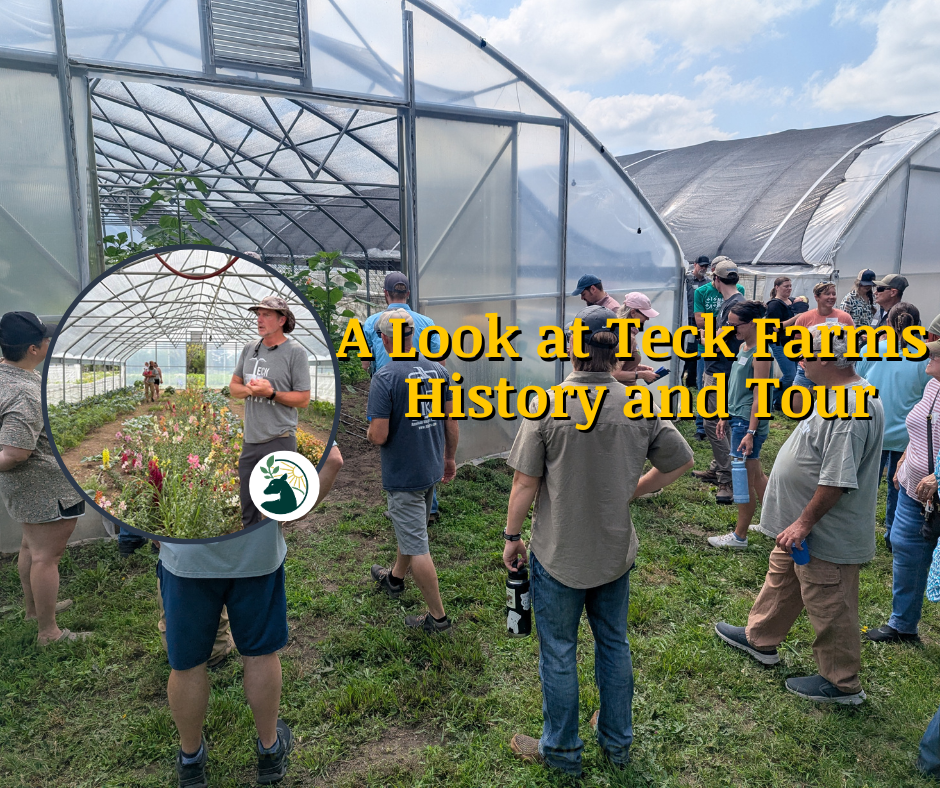 A Look at Teck Farms History and Tour
