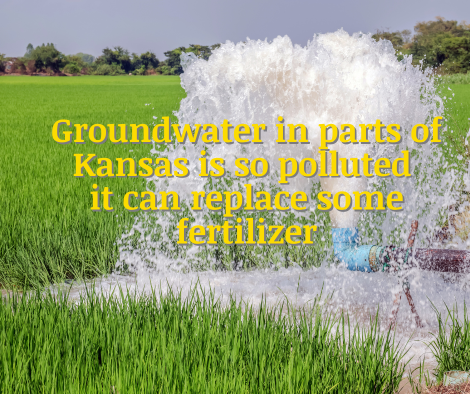Groundwater in parts of Kansas is so polluted it can replace some fertilizer