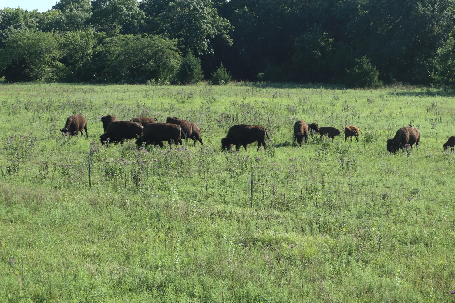 About KRC — Kansas Rural Center