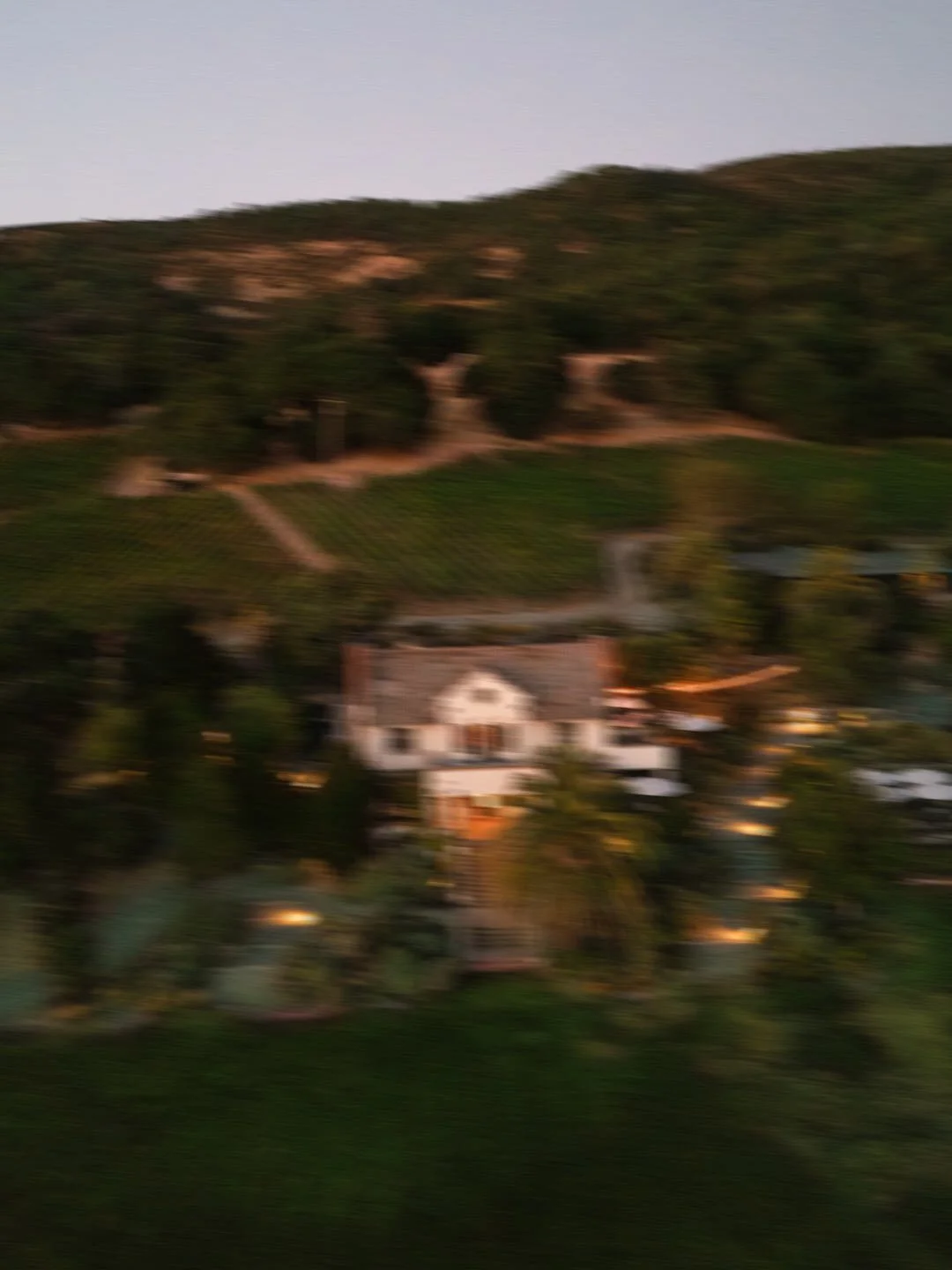 ScribeChard2025KSPhoto blur.jpg