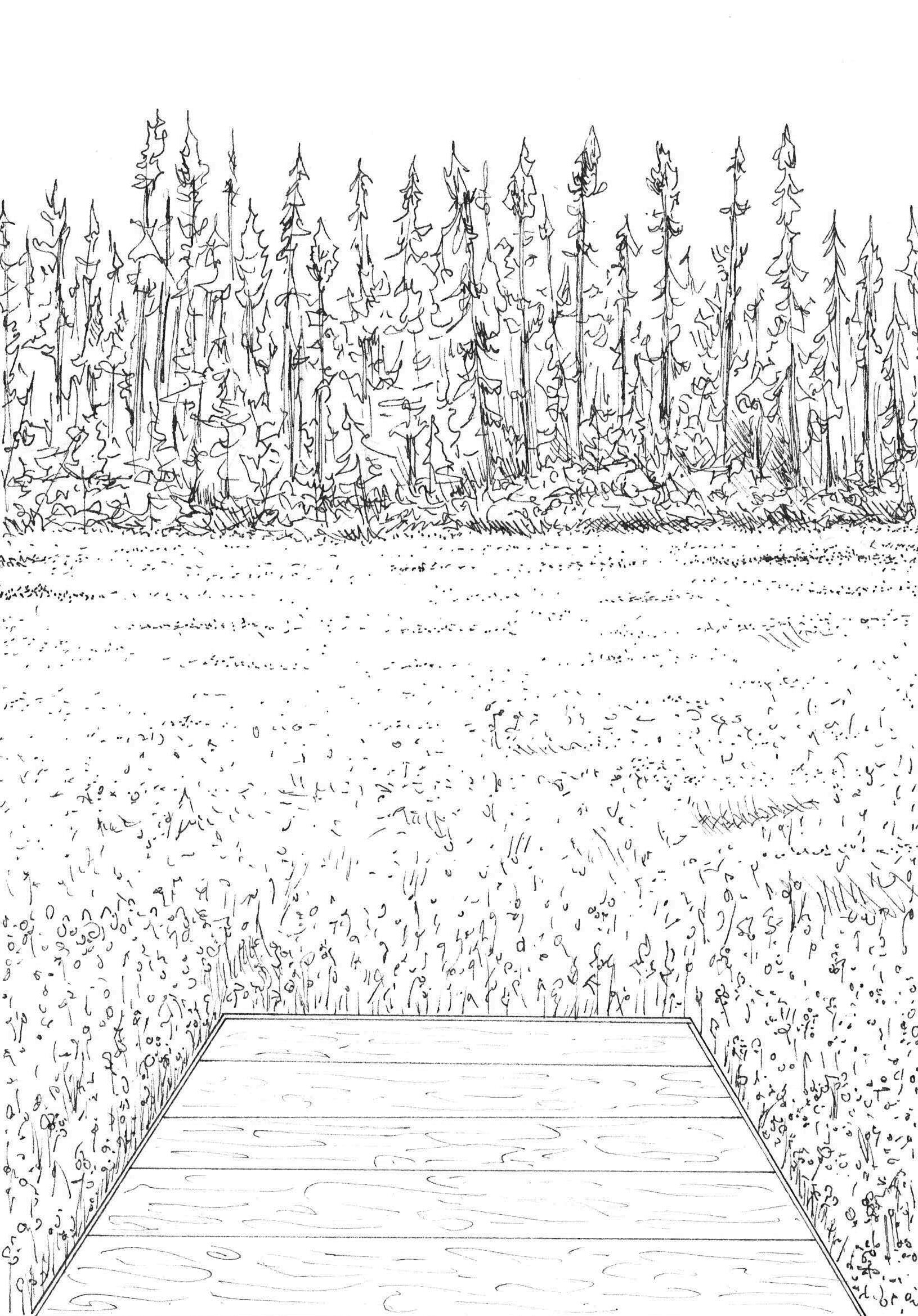view 3.jpg