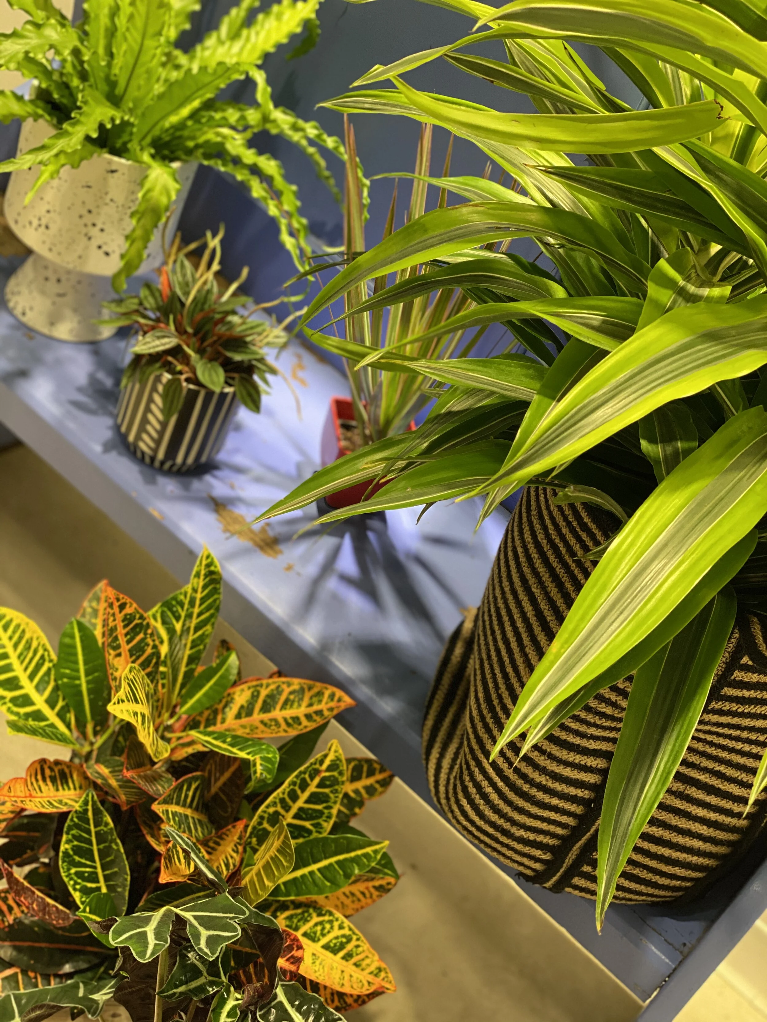 Photo Jun 18, 8 51 05 PM.jpg