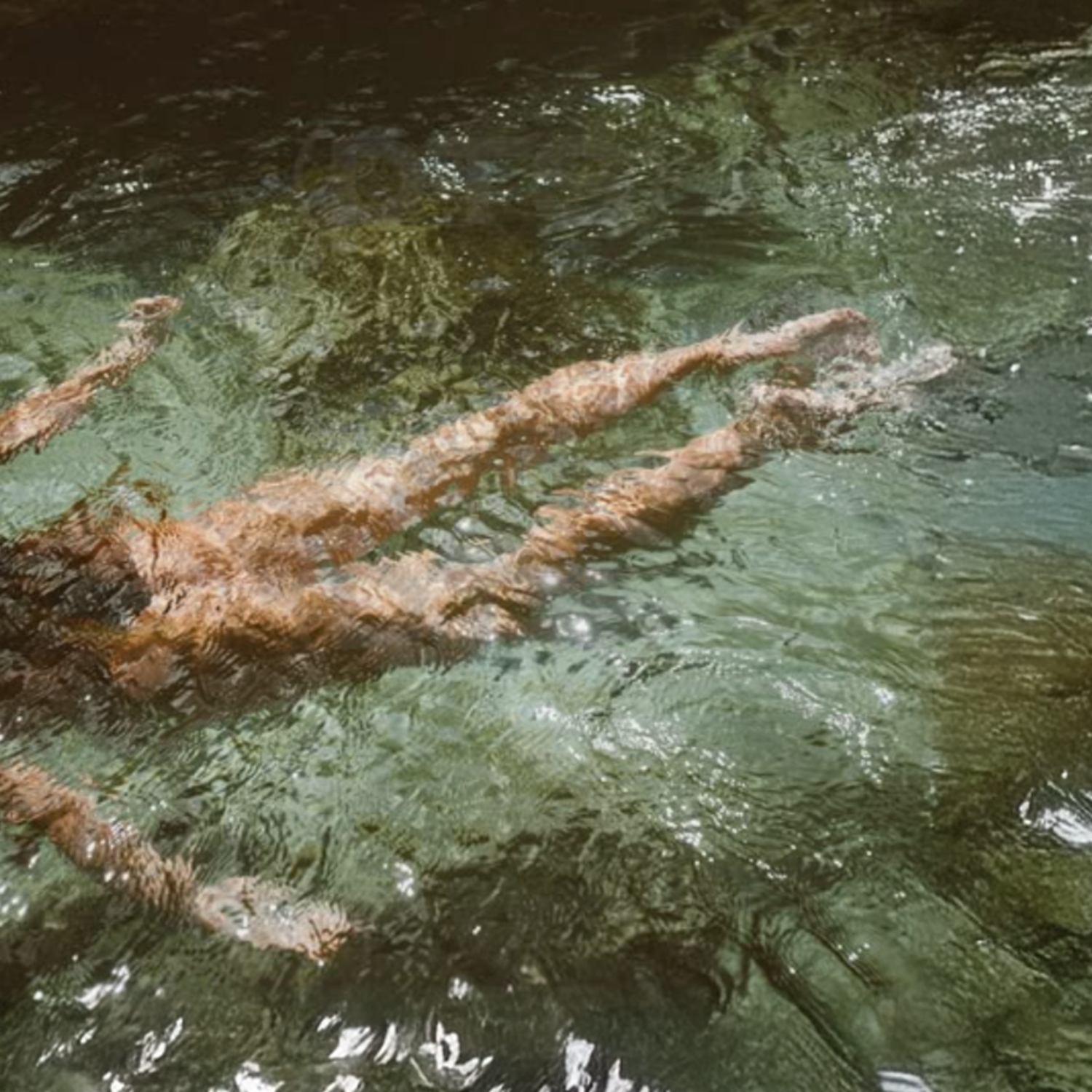 3 Water Spells for Beginners: Love, Money, and Healing
