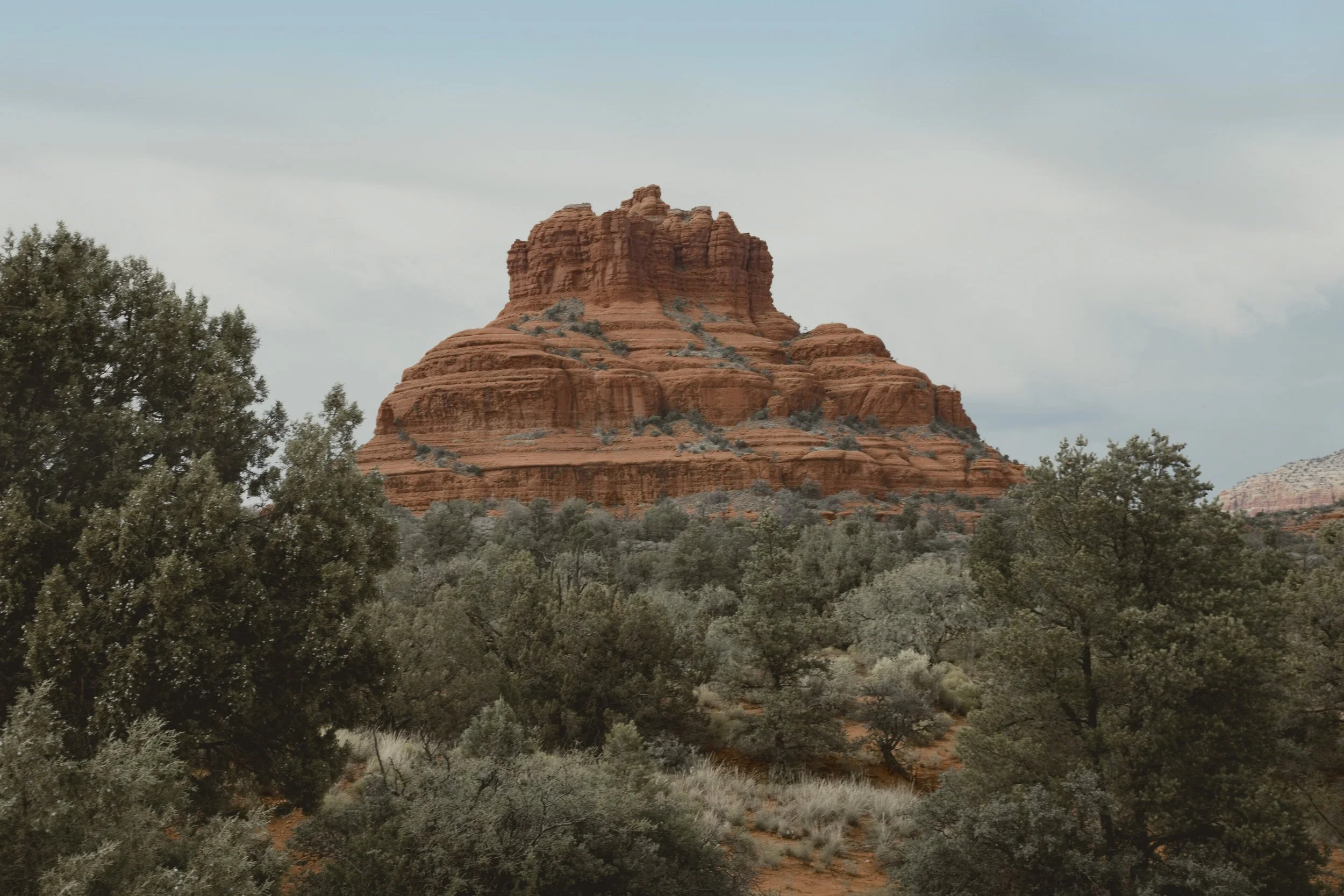 Bell Rock in Sedona rising above green juniper and piñon under a soft, cloudy sky.