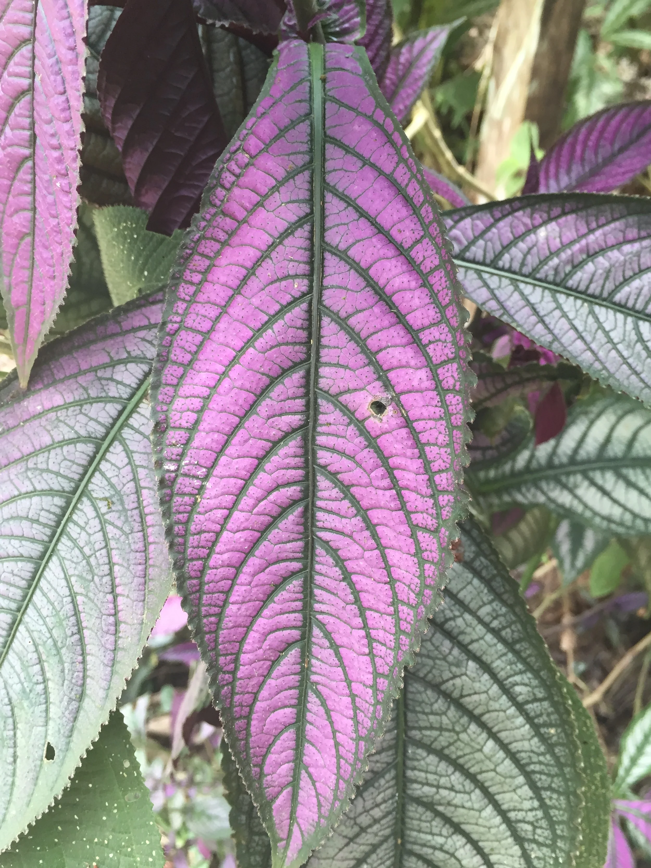 January 2022 Thursday Cohort