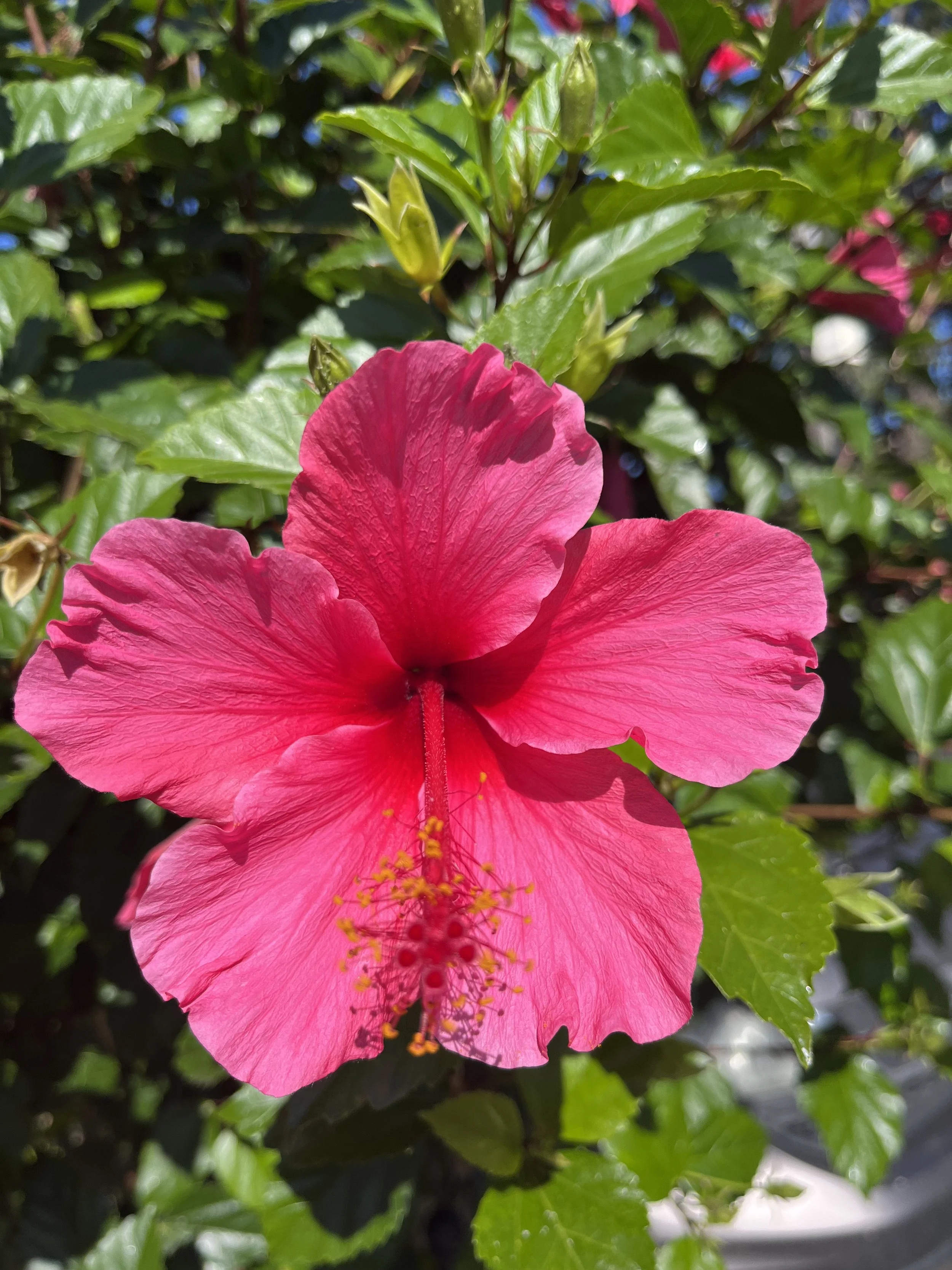 November 2024 Cohort