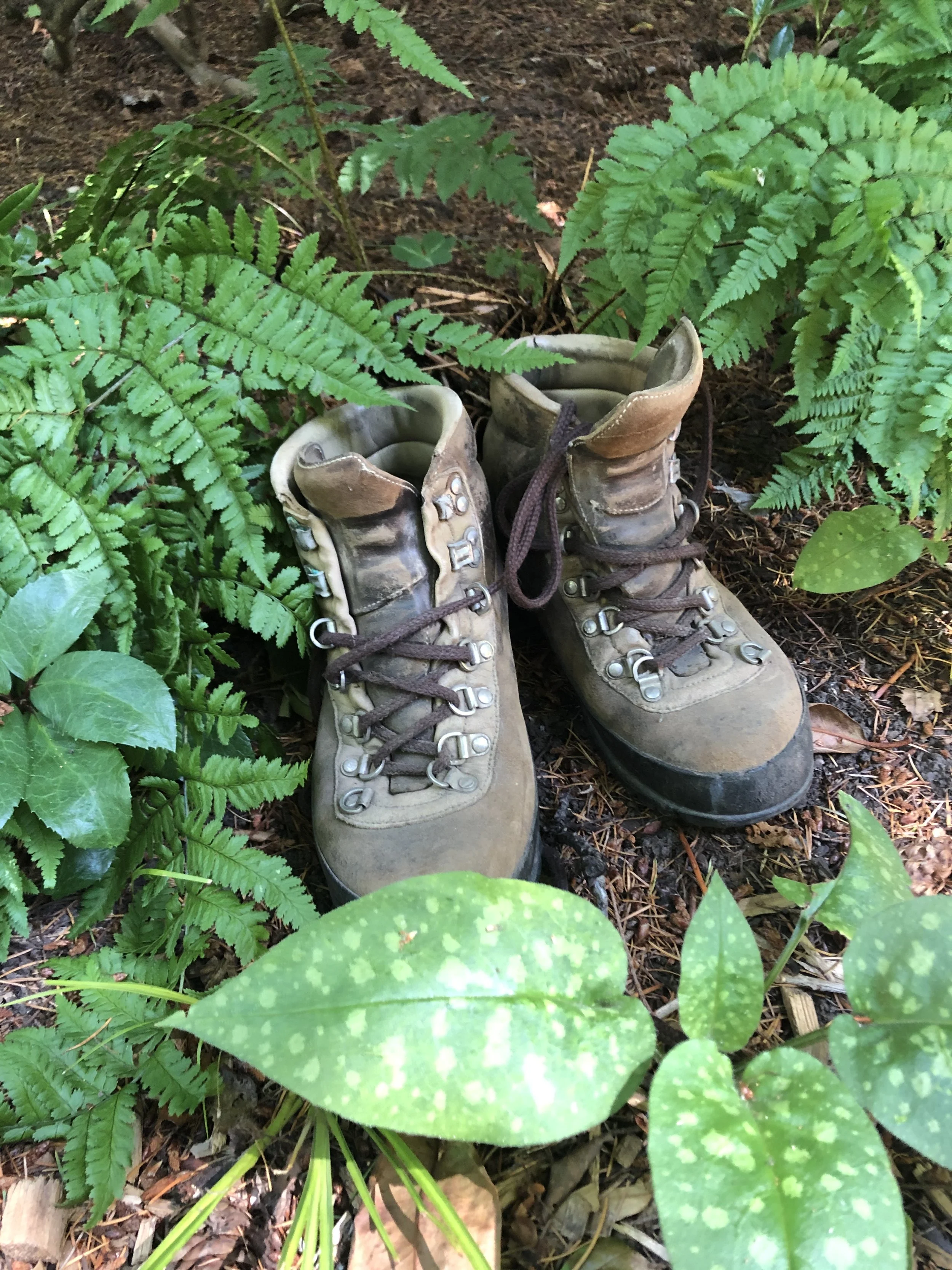 Career Change Conversation with Whitney