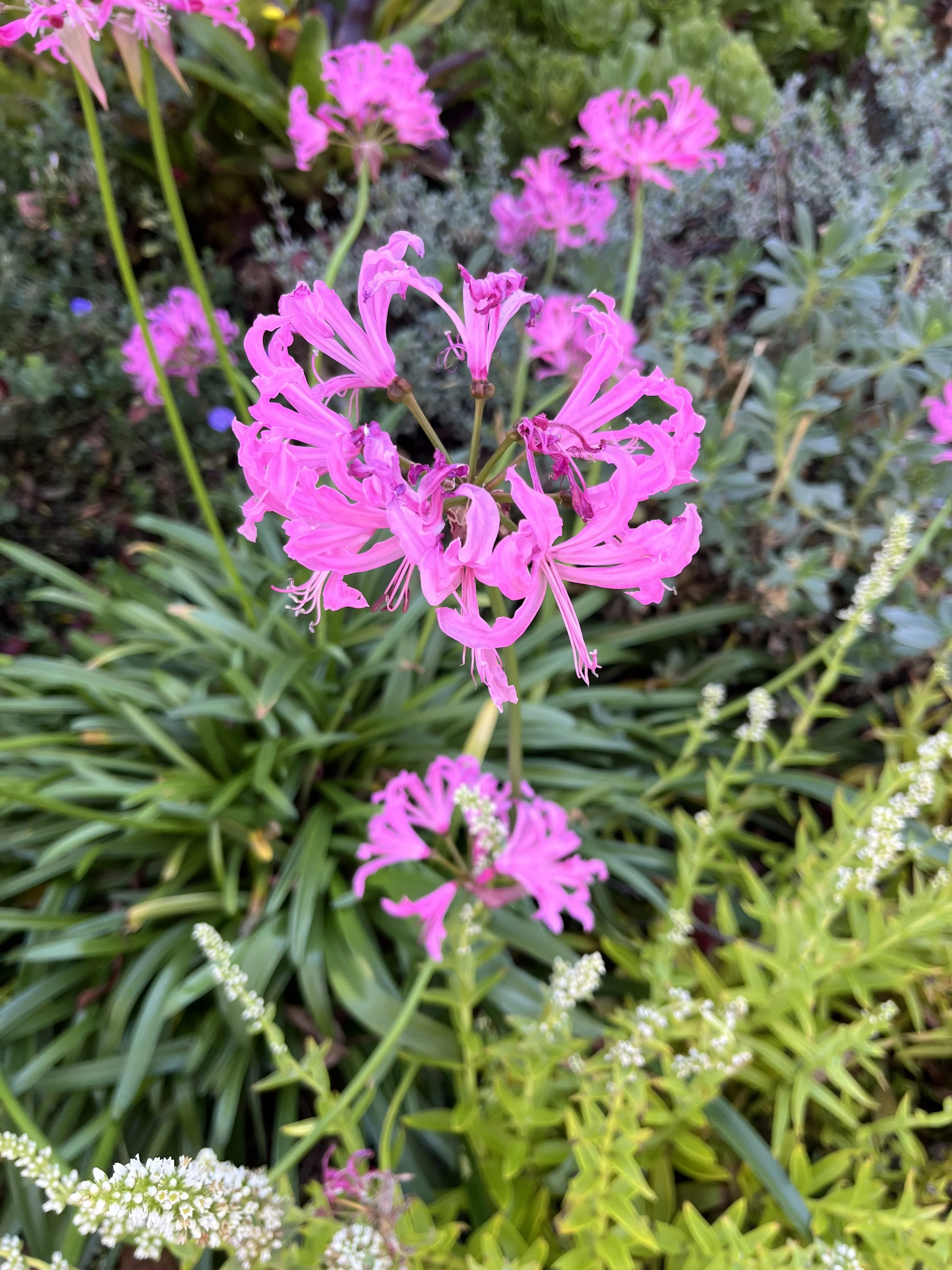 Finding Work that Works for You Winter Cohort 2025