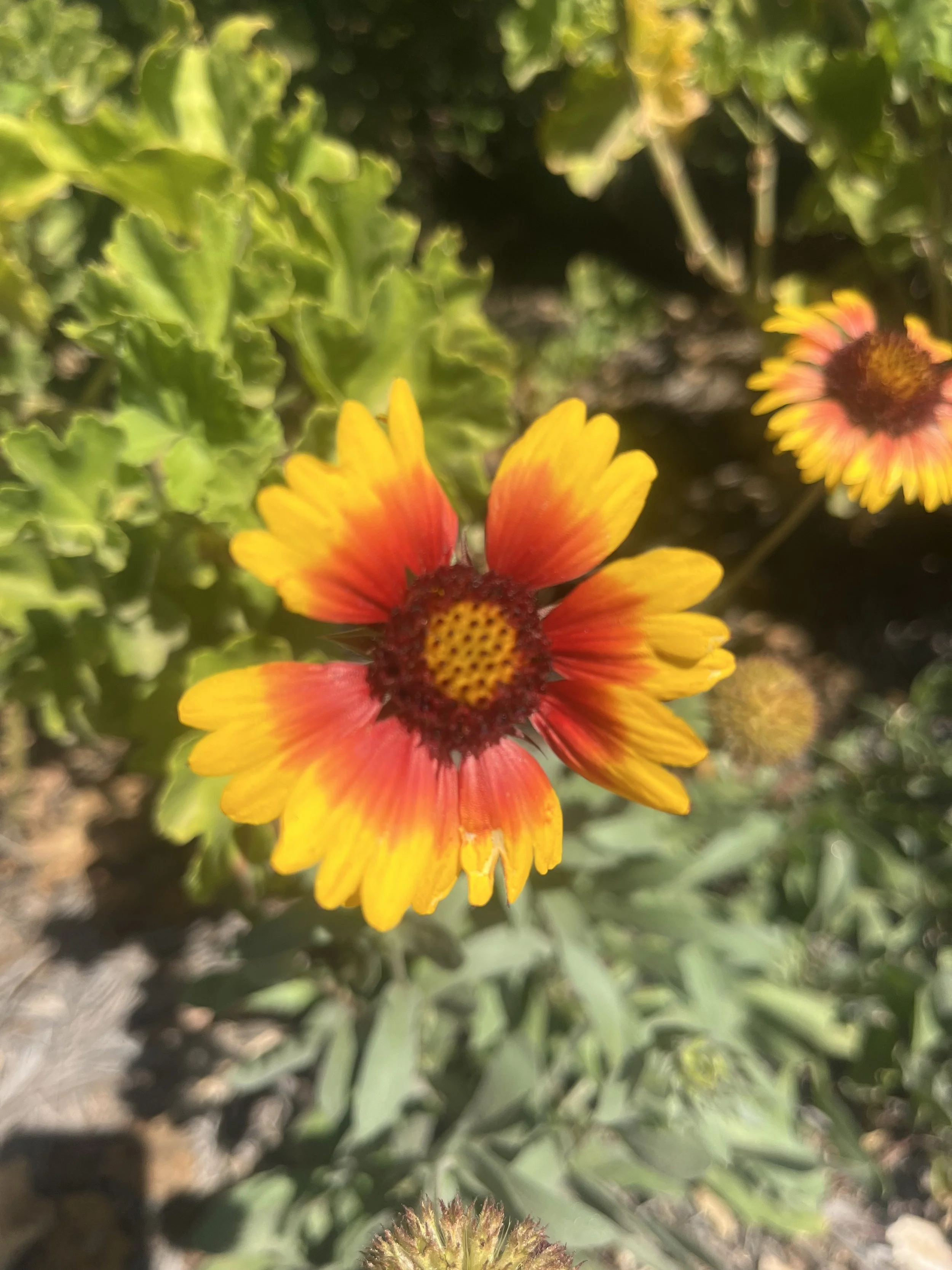 Reflecting on 2025 and Visioning 2026