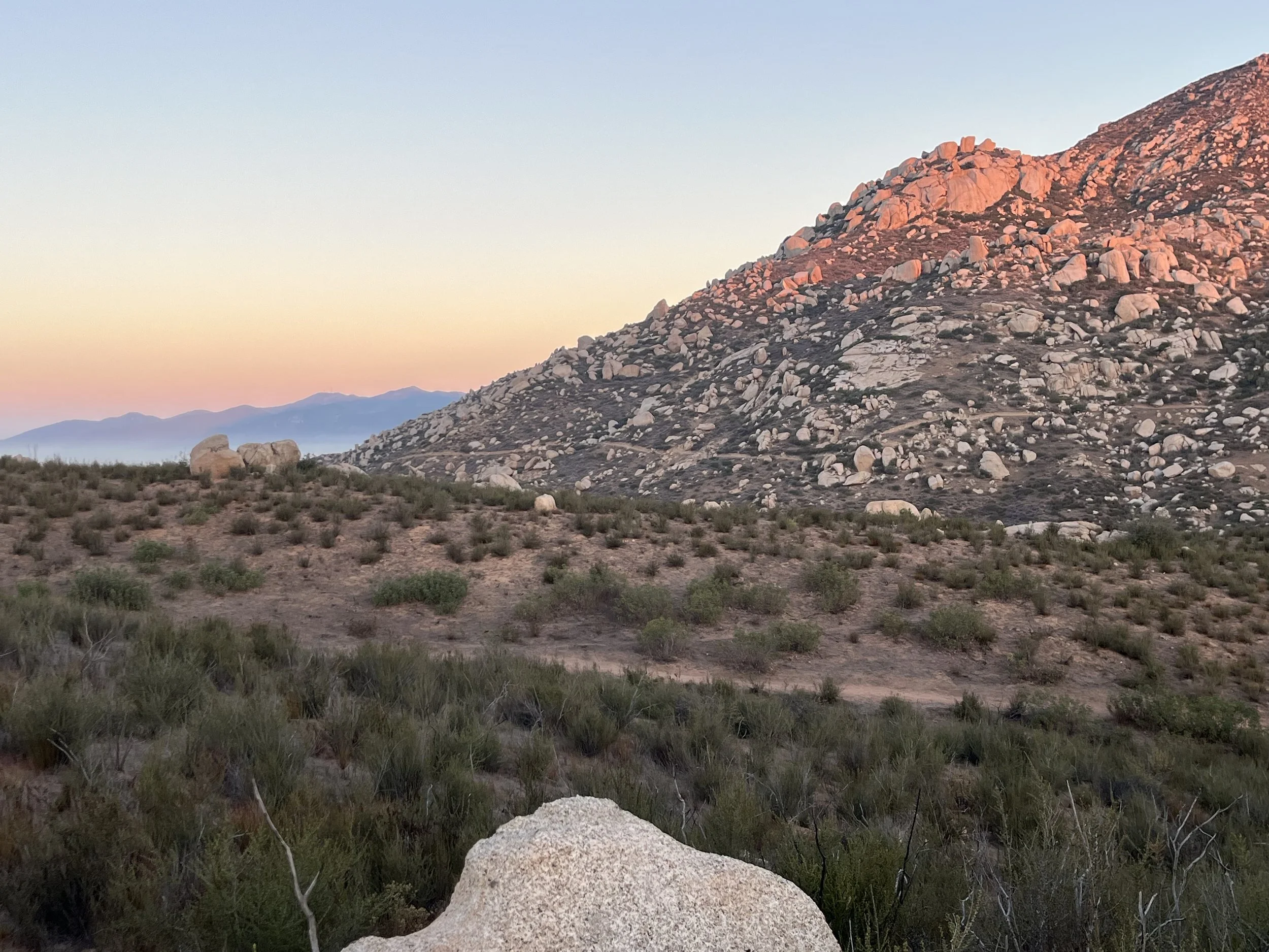 Job Search Working Group Winter-Spring 2026