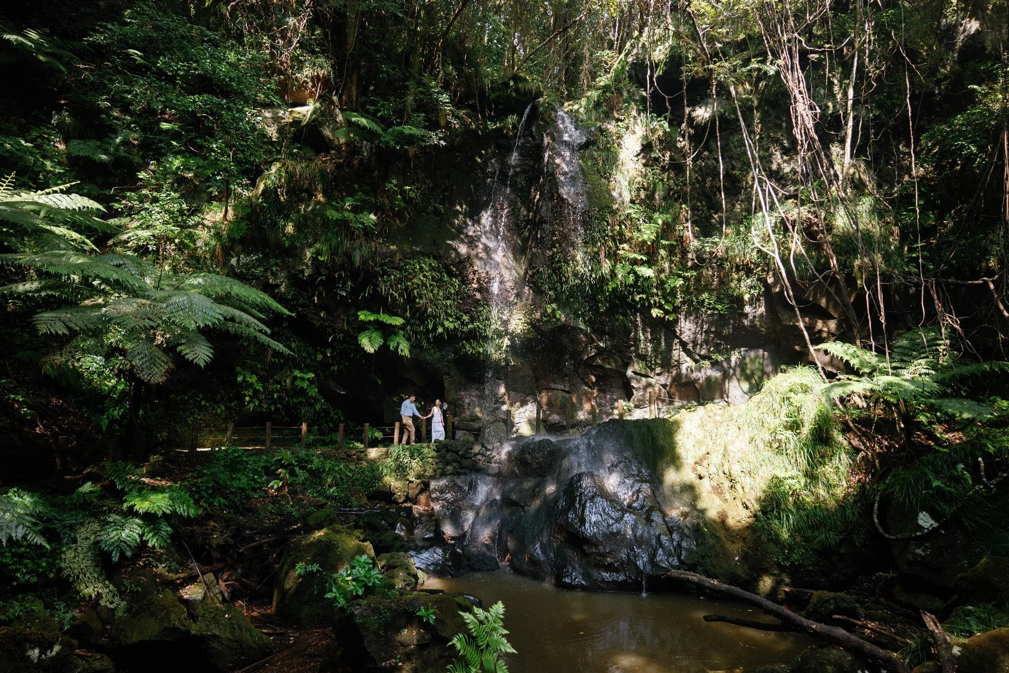 _DSC9015.jpg