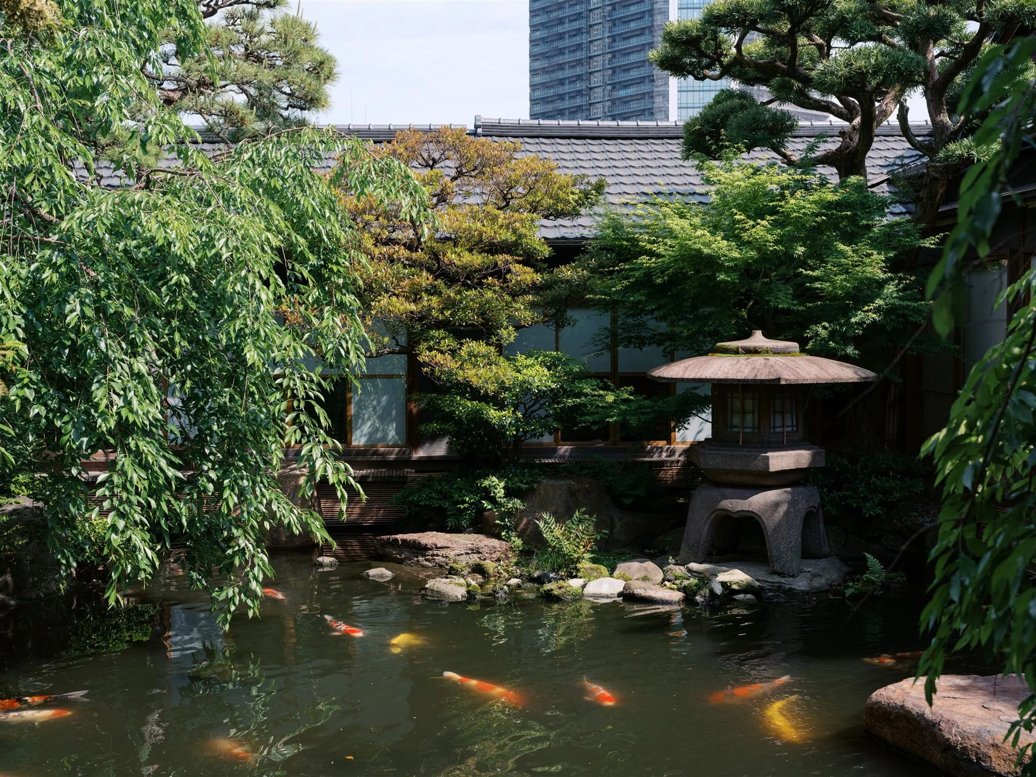 _DSF0304_websize (2).jpg