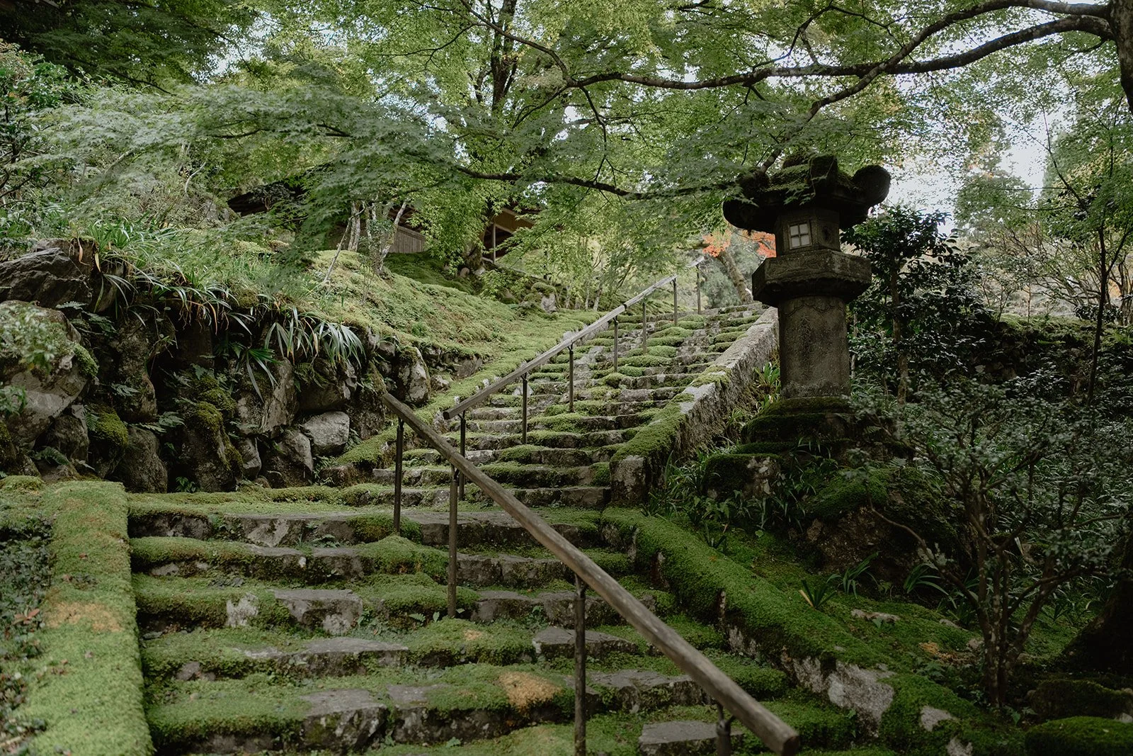 BLphotos - Karolis & Aurelija-138.jpg