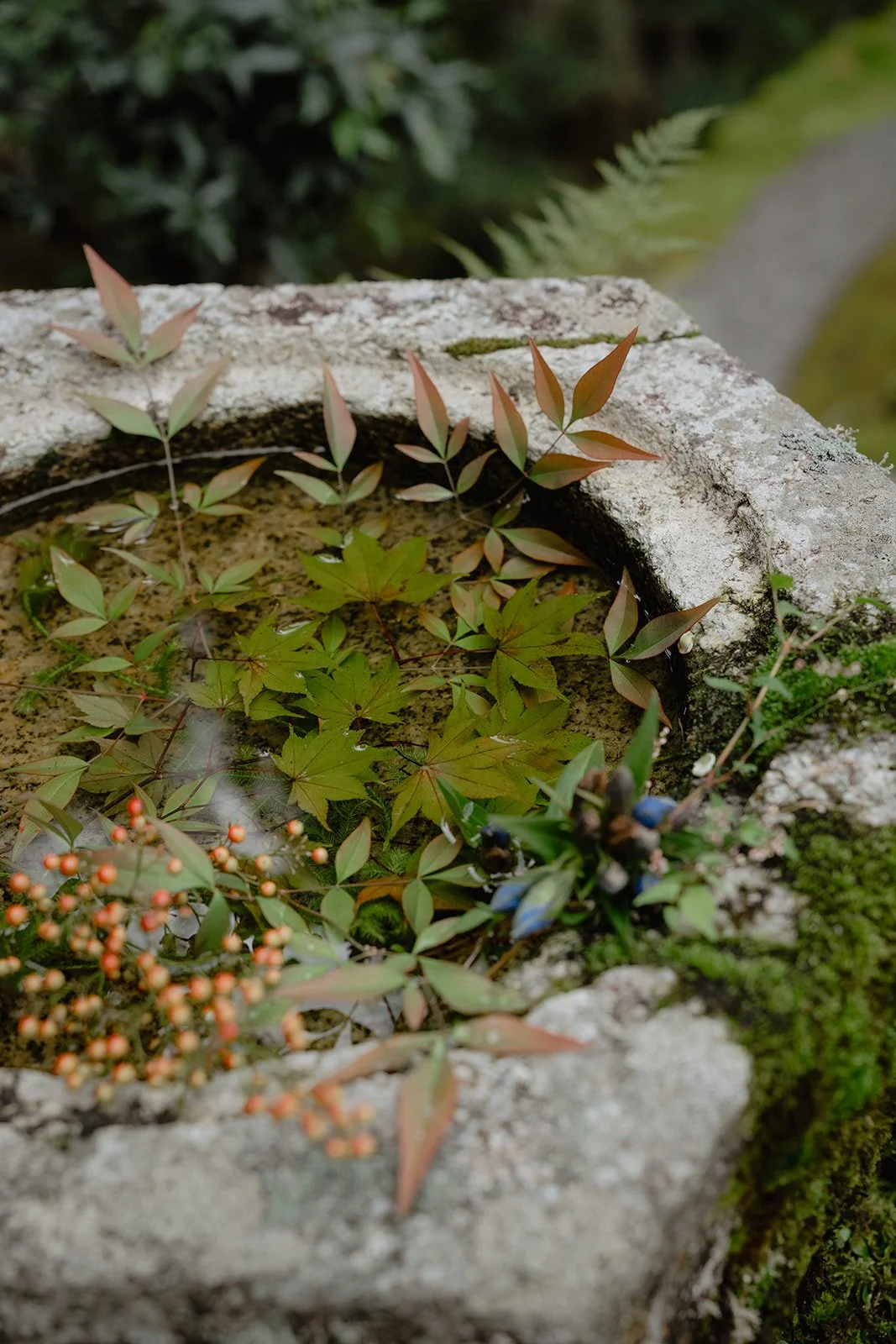 BLphotos - Karolis & Aurelija-180.jpg