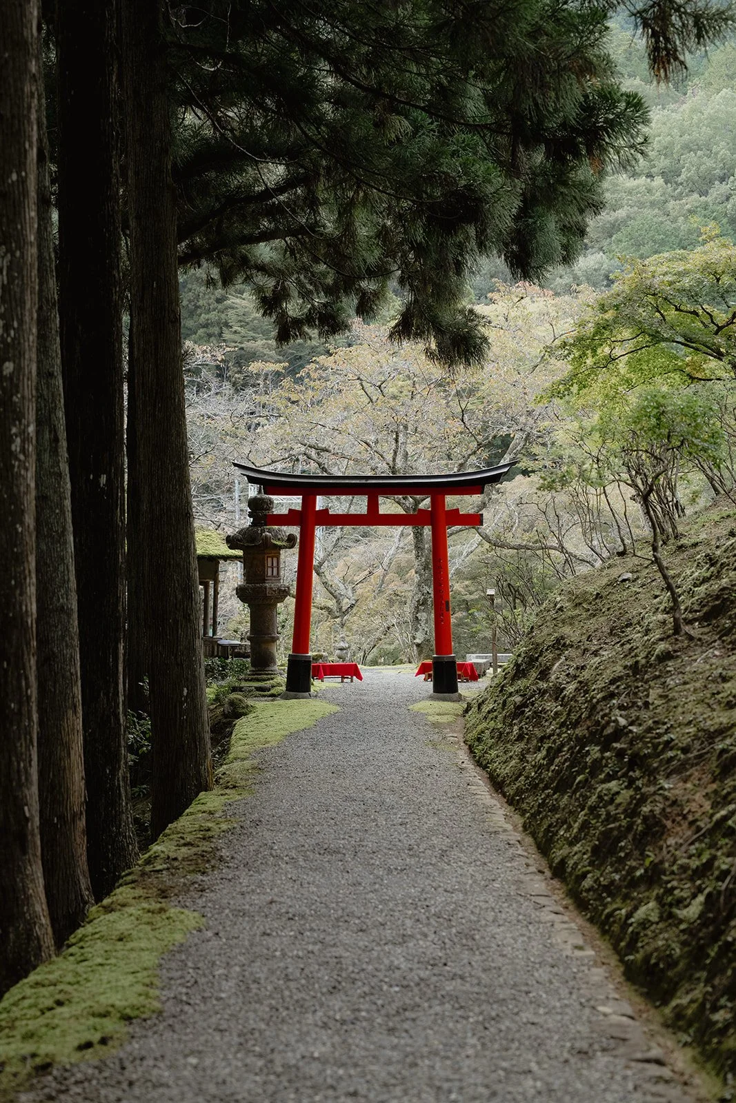 BLphotos - Karolis & Aurelija-218.jpg