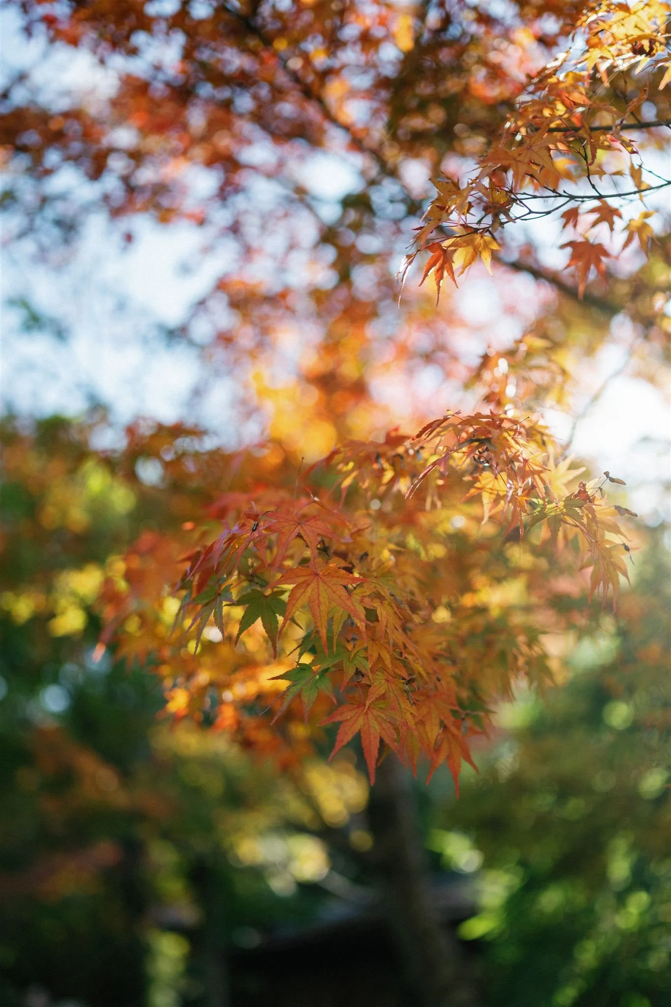 _DSC1114_websize (1).jpg