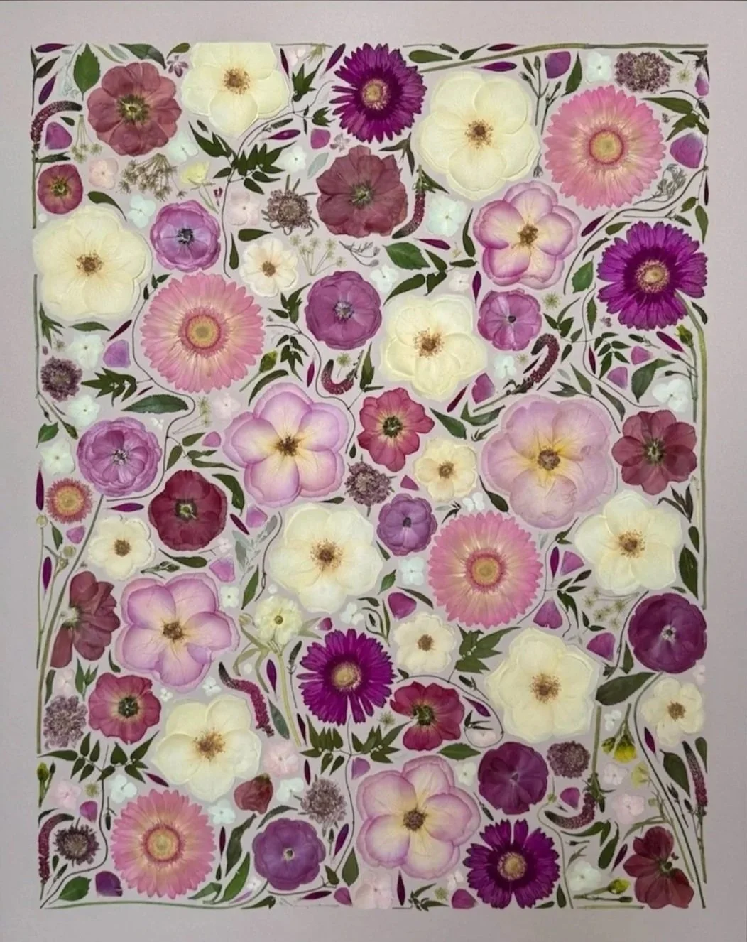 "Barbosa Blossom" Fine Art Print