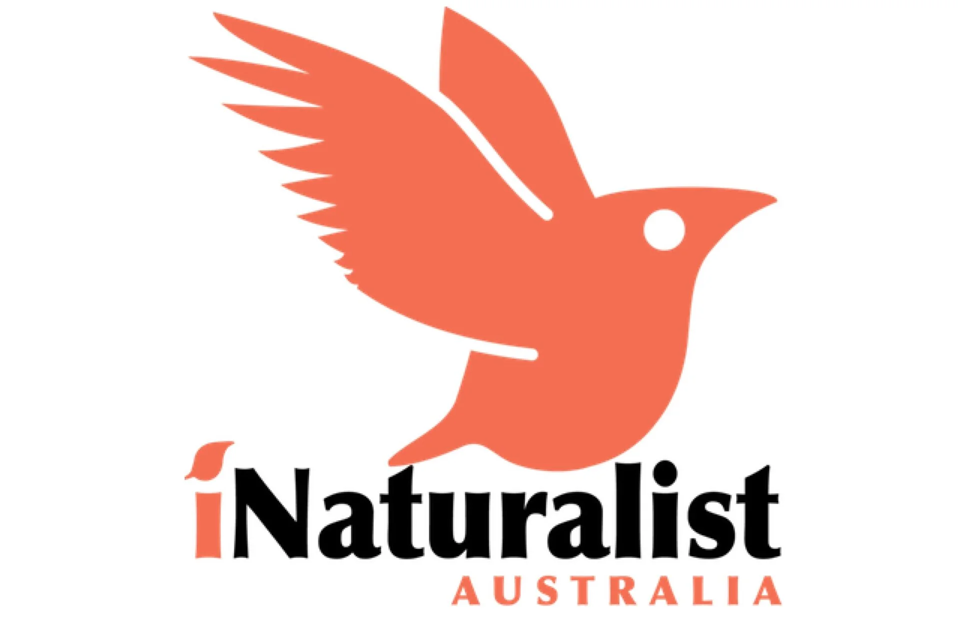 iNaturalist