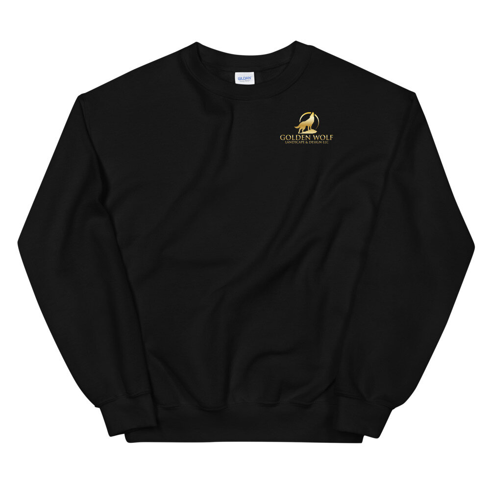 unisex-crew-neck-sweatshirt-black-front-6043d1a96e666.jpg