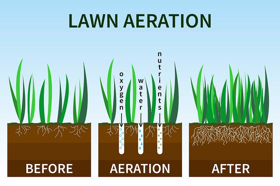 5fd3d2f3e36774d2d44a6dca_aerate lawn.jpg