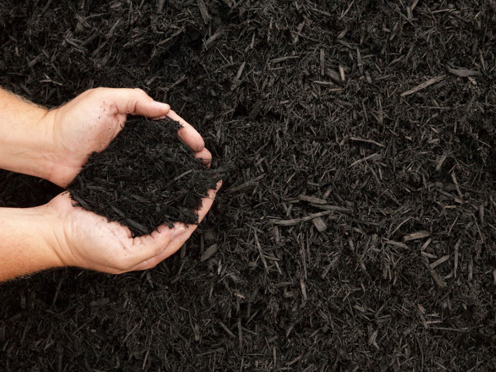 mulch.jpg