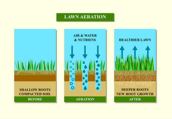 Aeration.png