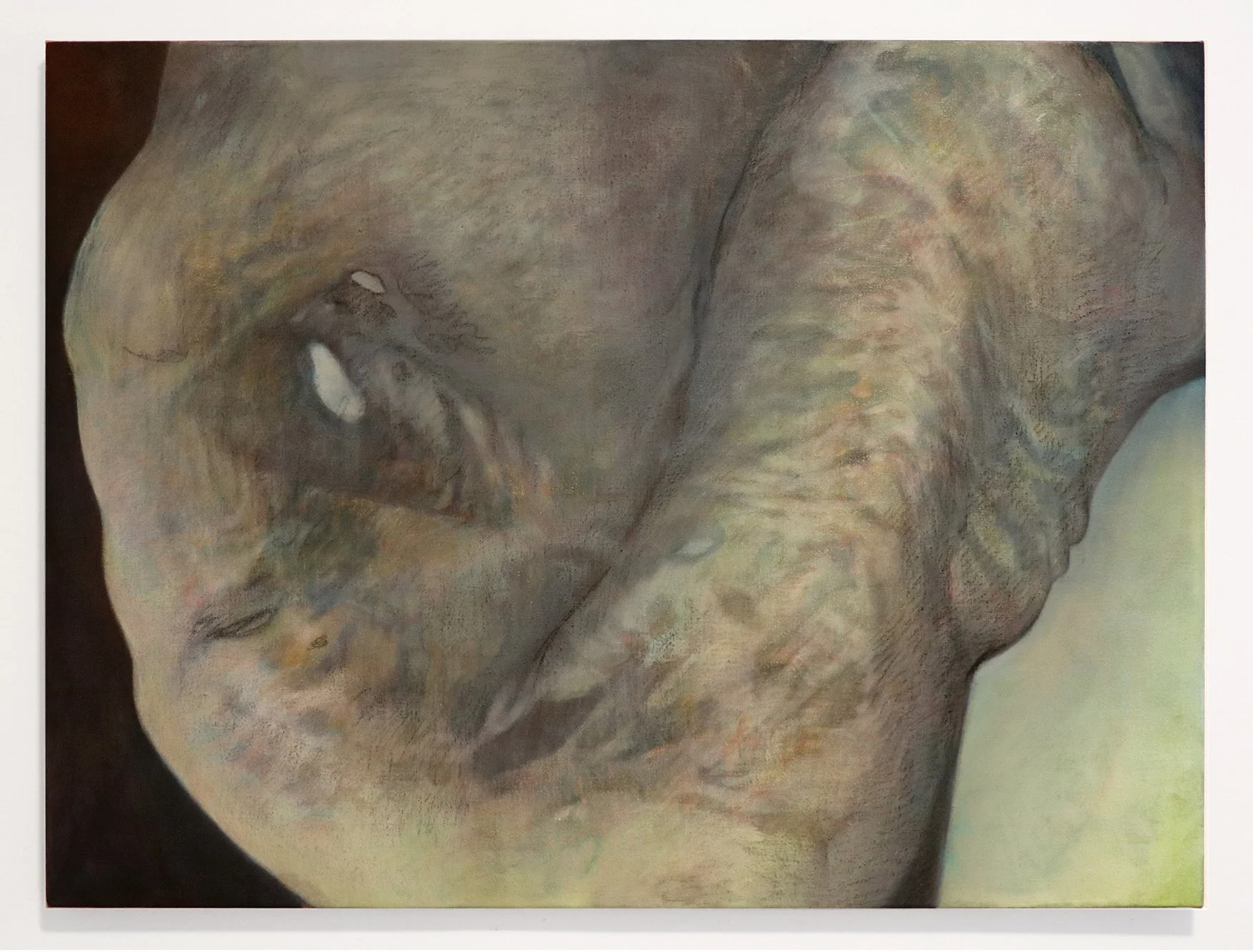 Earth, 2025, 30 x 40 x 1 1/2”, Oil and crayon on canvas