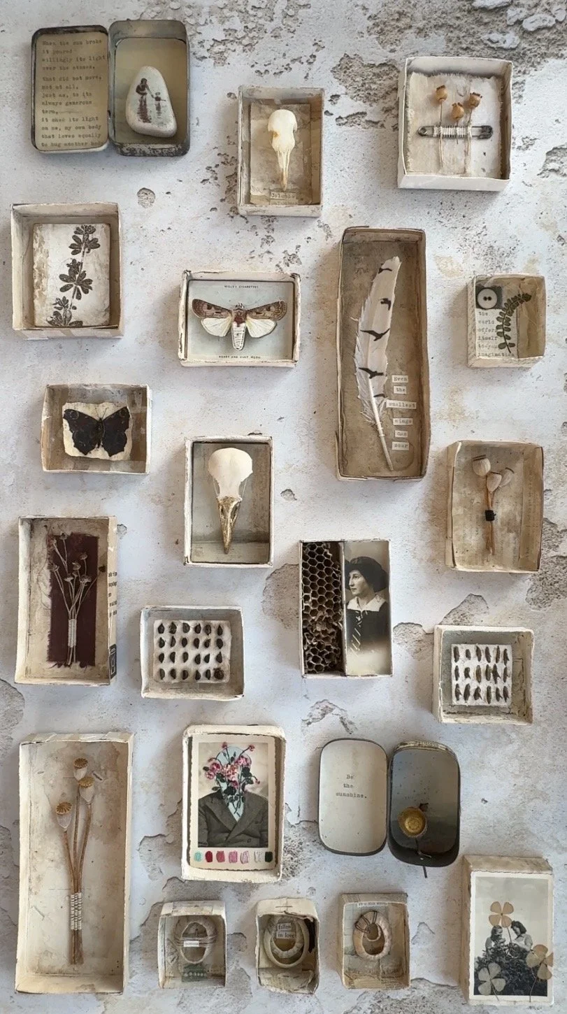 Jane Chipp