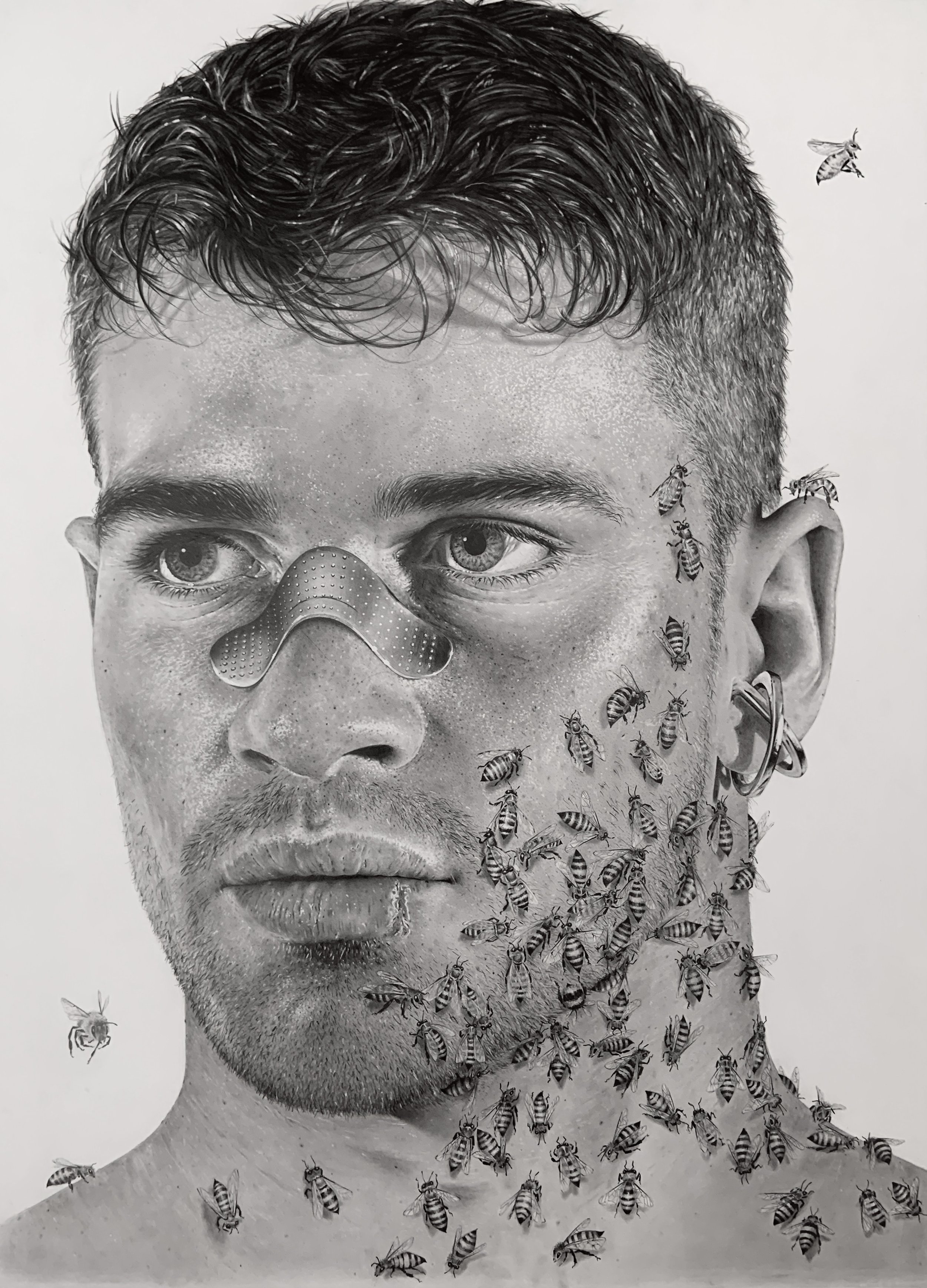 Marc Brechwald. Like Bees to Honey, Graphite on Bristol, 22"x28", 2023