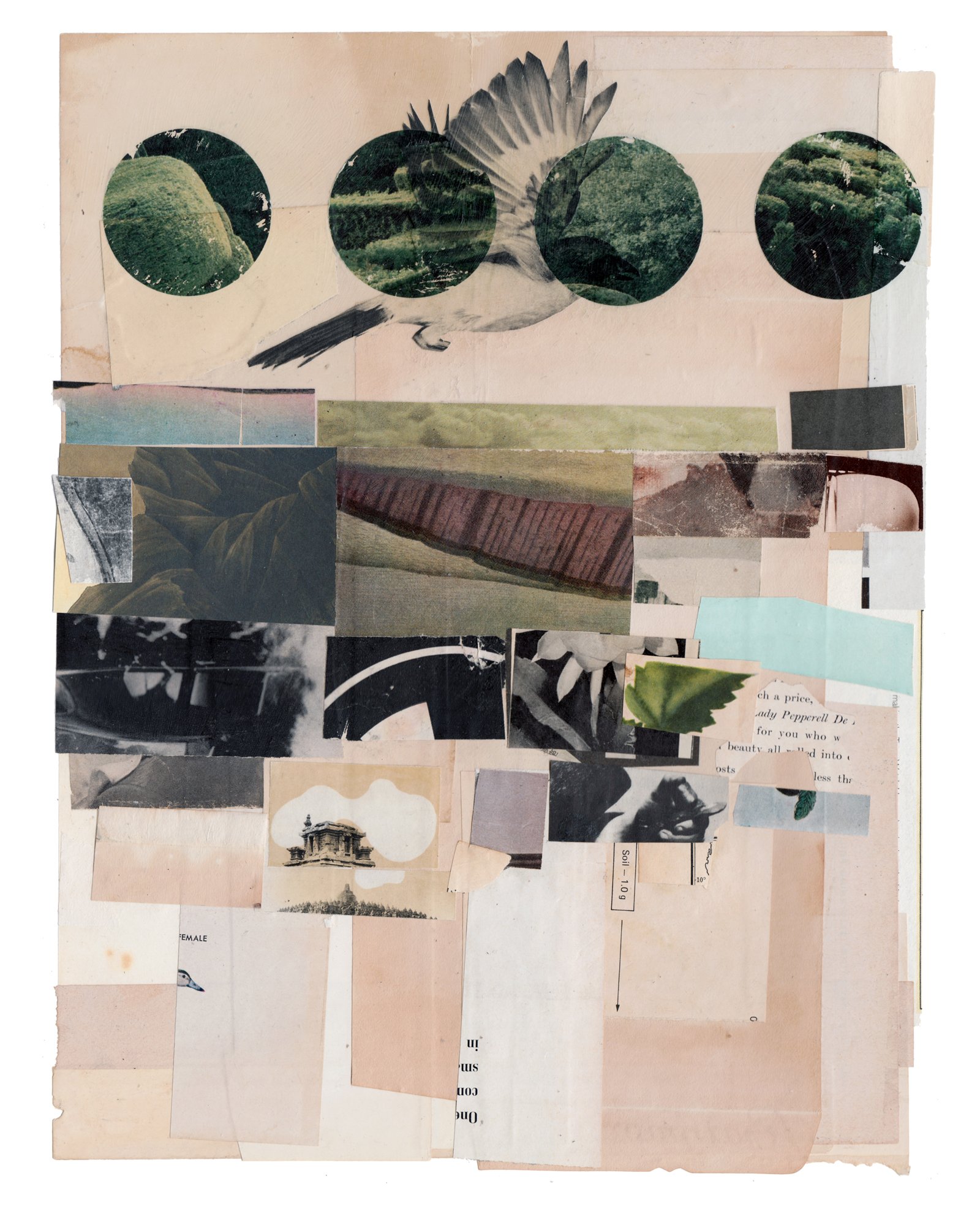 Allan Bealy. Classified Essentials, collage on paper, 11 x 14, 2023