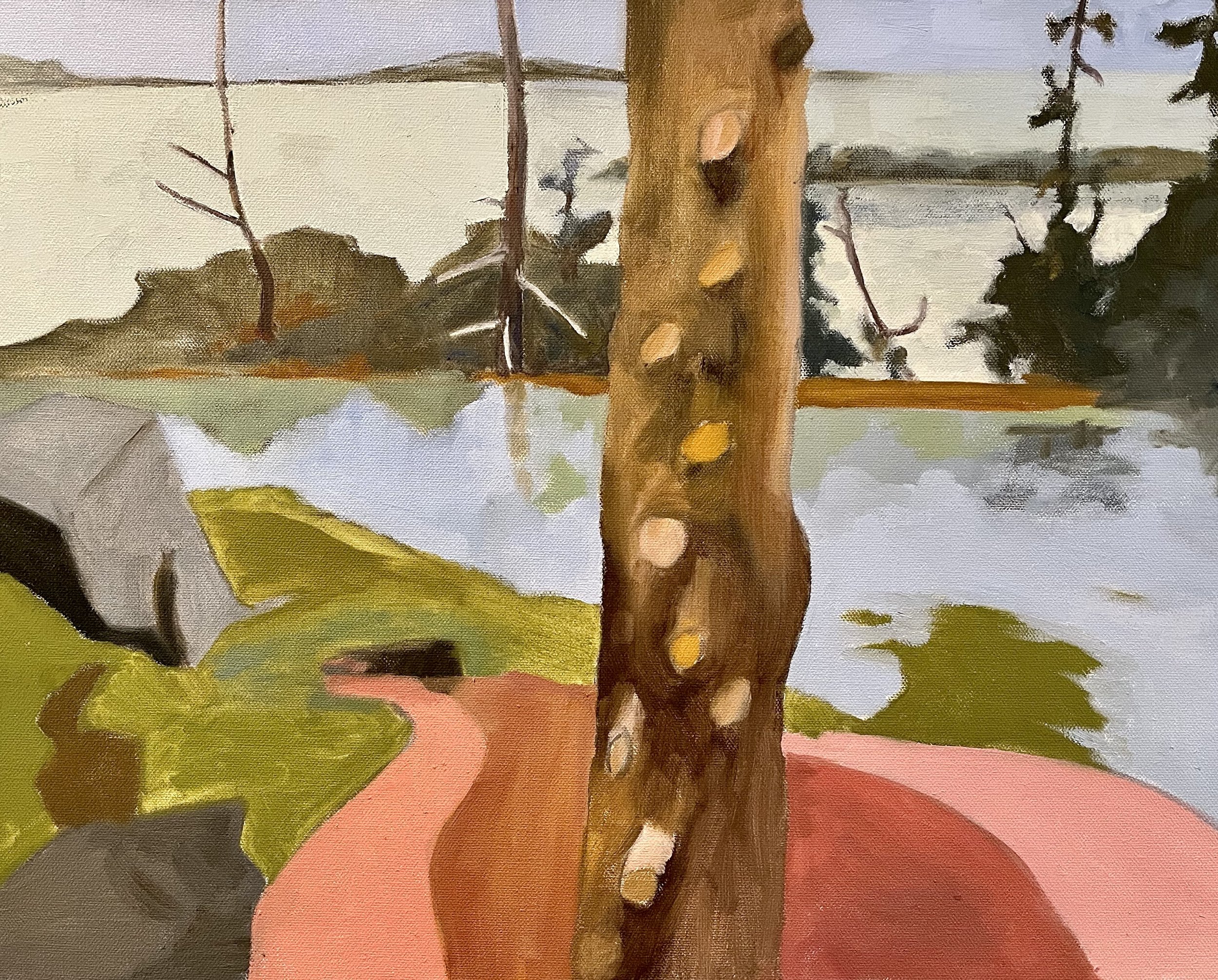 JoAnn Portalupi. Nutter Cove.  16 X 20.  Oil.  2025