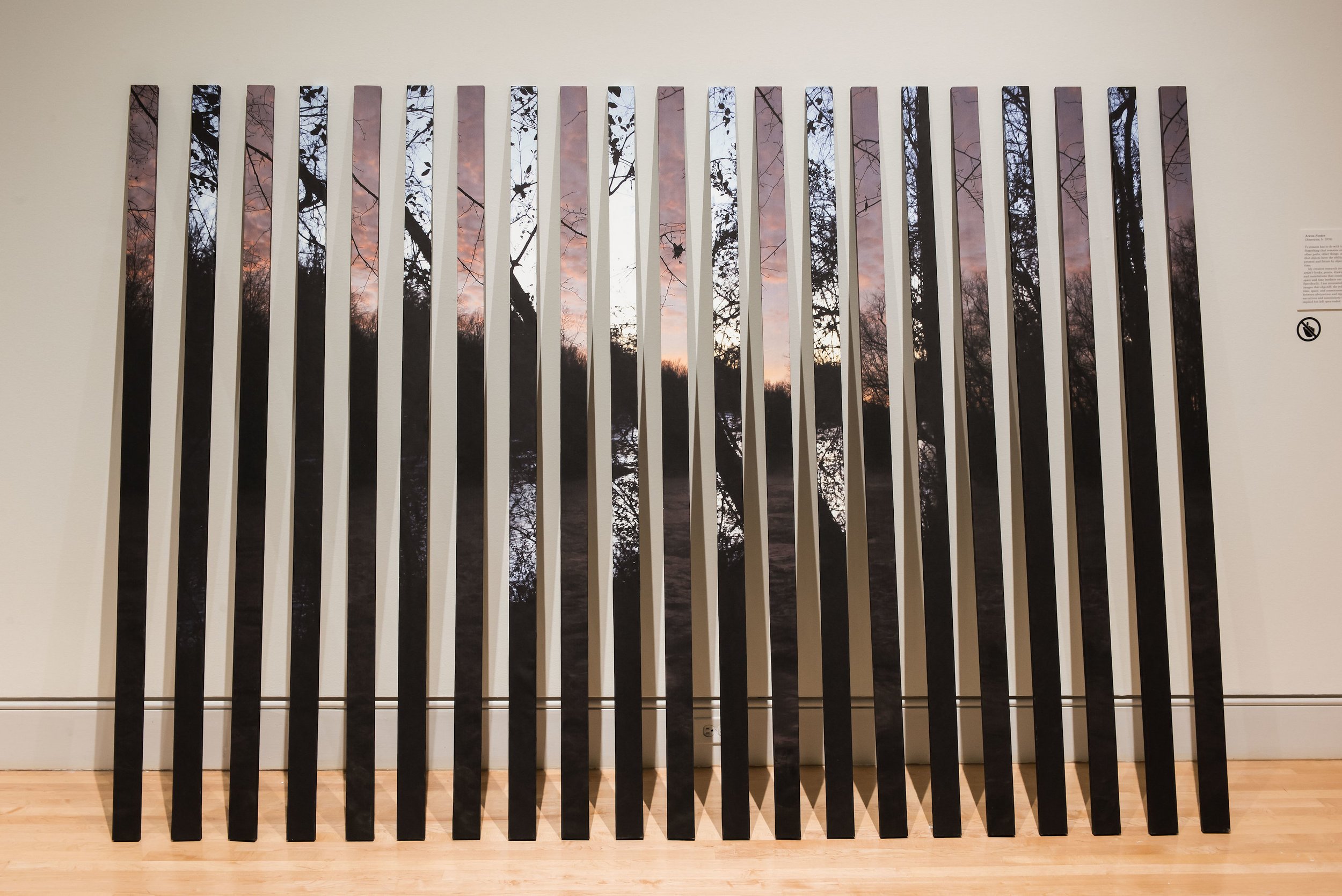 Arron Foster. Another Time, inkjet prints, silkscreen, wood, 72”x96”. 2017